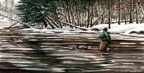 SteelheadinJanuary.jpeg