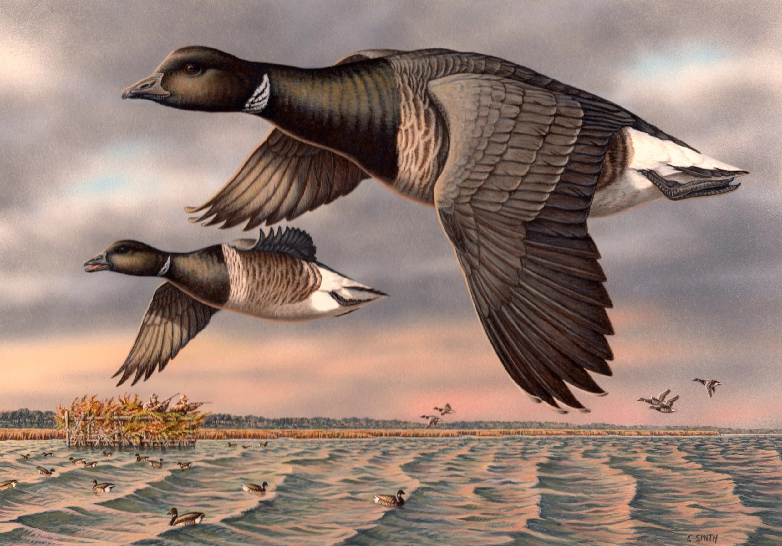 Sale Gallery — Wildlife and Sporting Dog Art