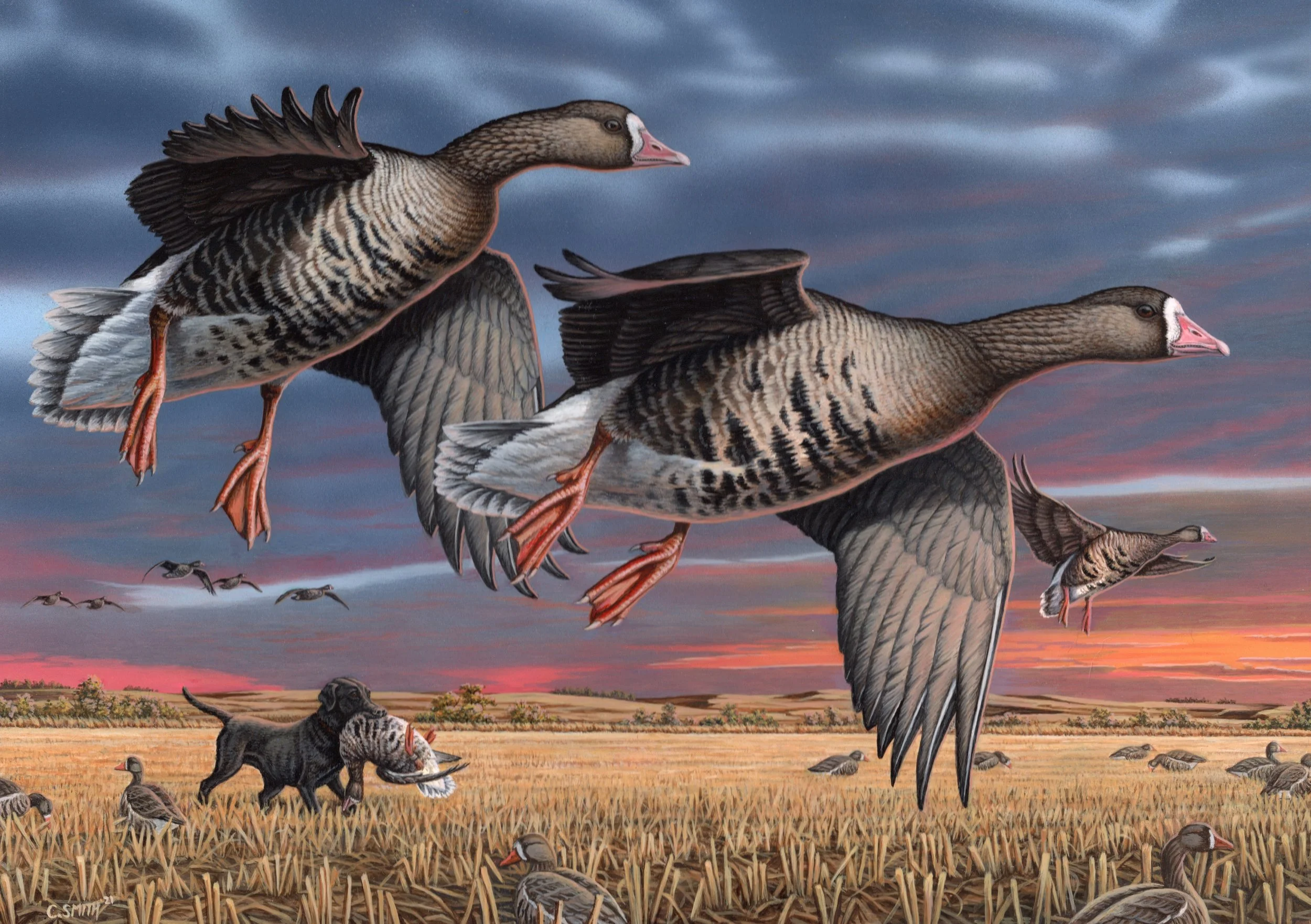 A Day To Remember.jpeg