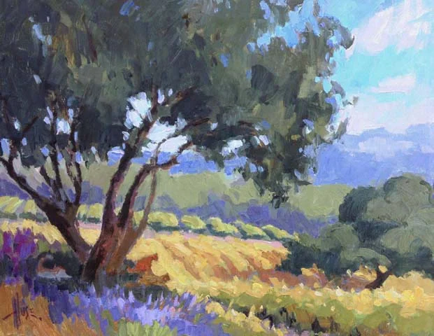 Vineyard Kitties 11x14 by Debra Huse web.jpg
