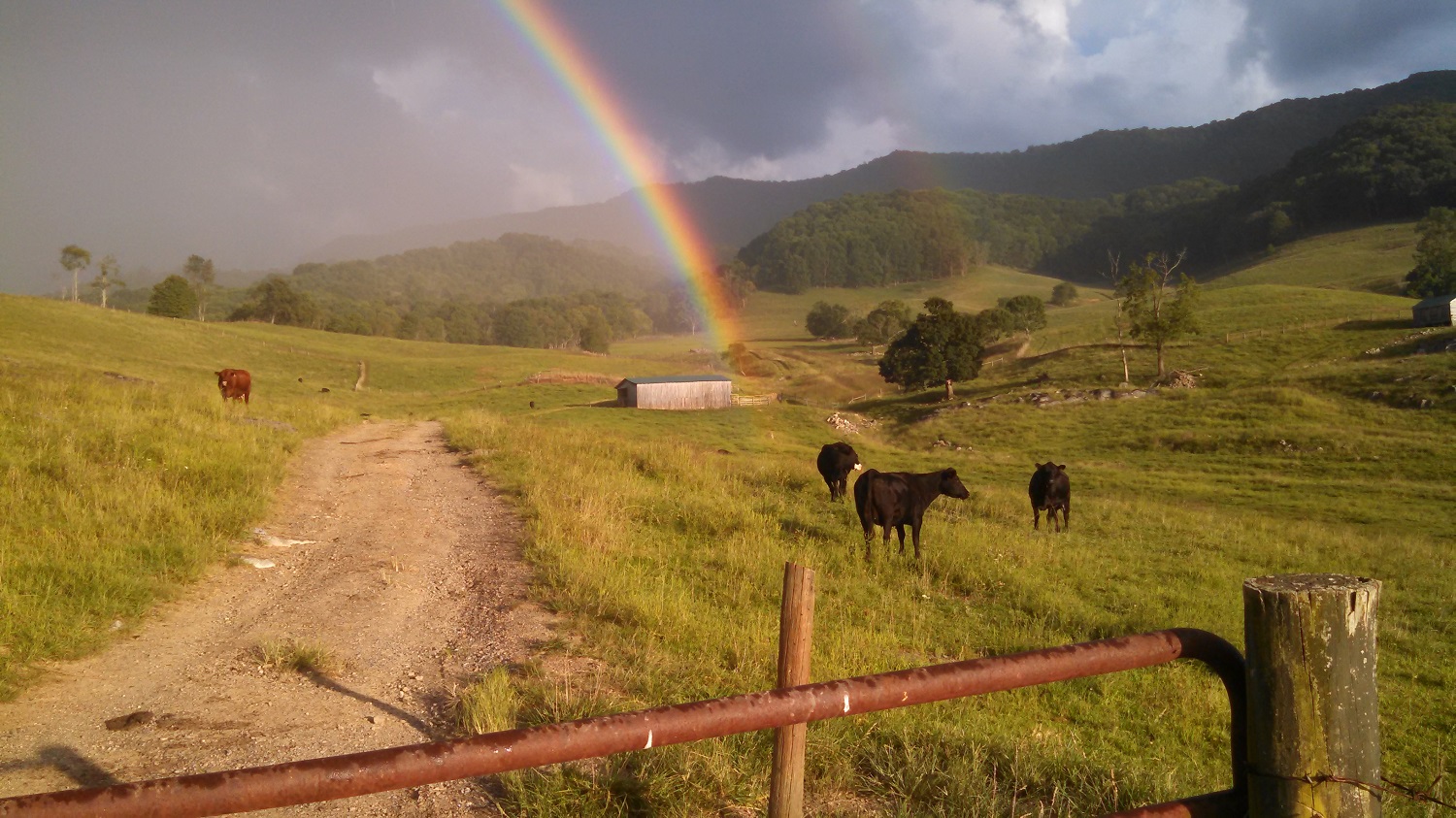 rainbow.jpg