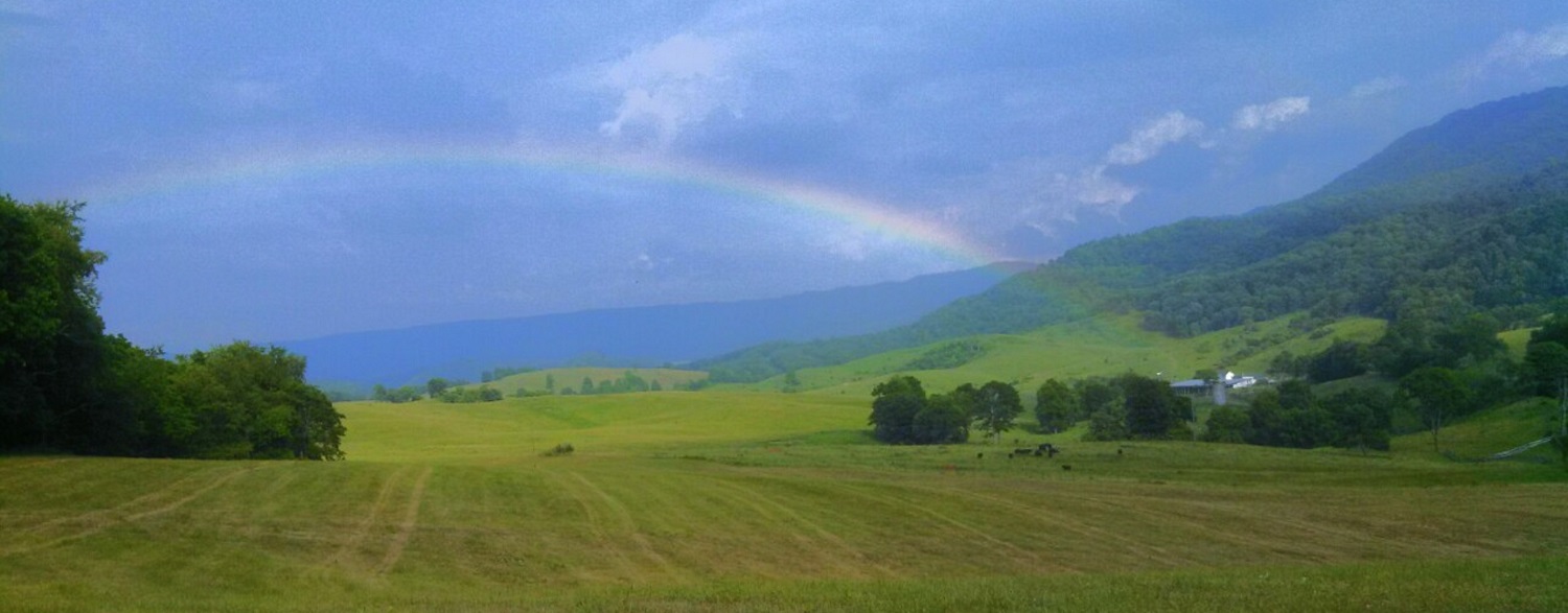 valley-pic.JPG