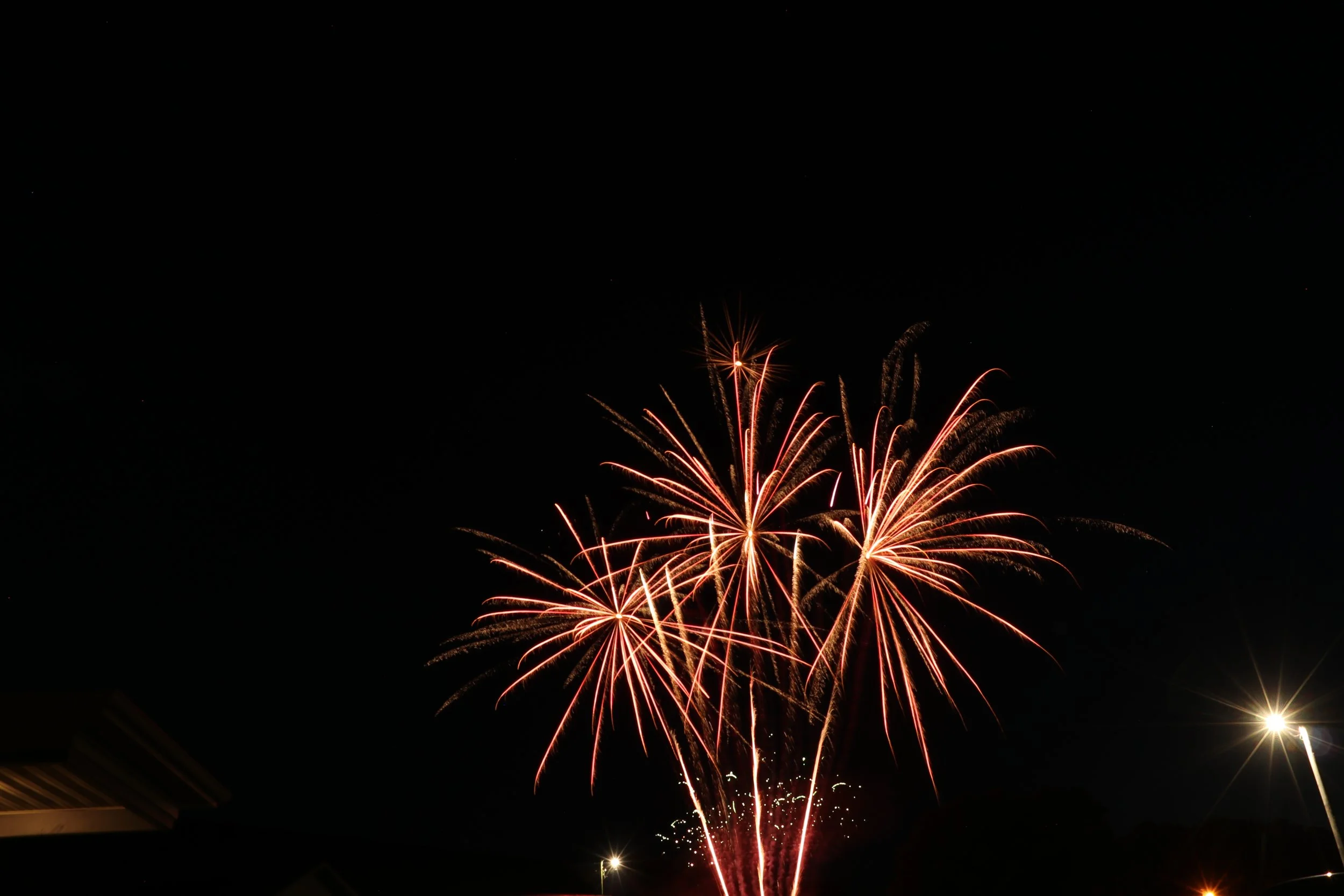 IMG_7514.JPG