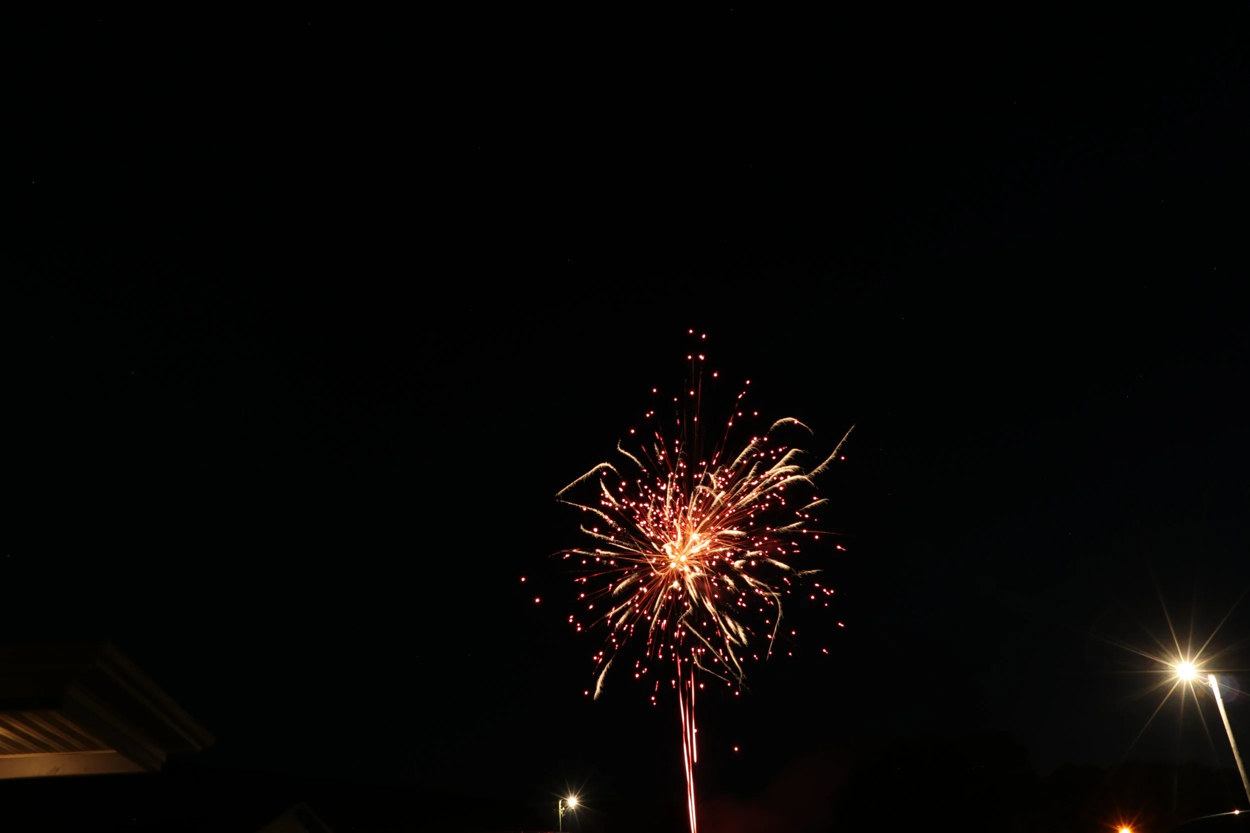 IMG_7520.JPG