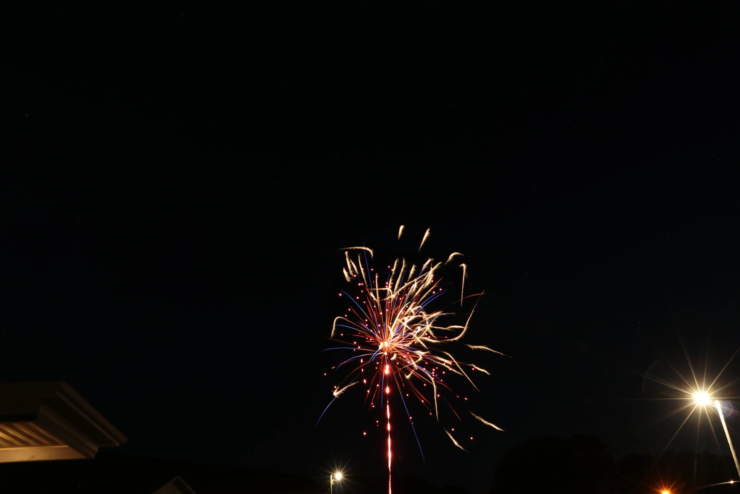 IMG_7534.JPG