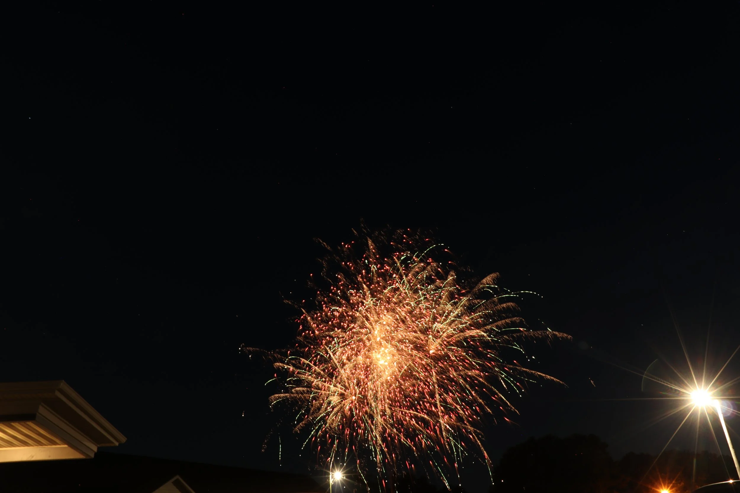 IMG_7540.JPG