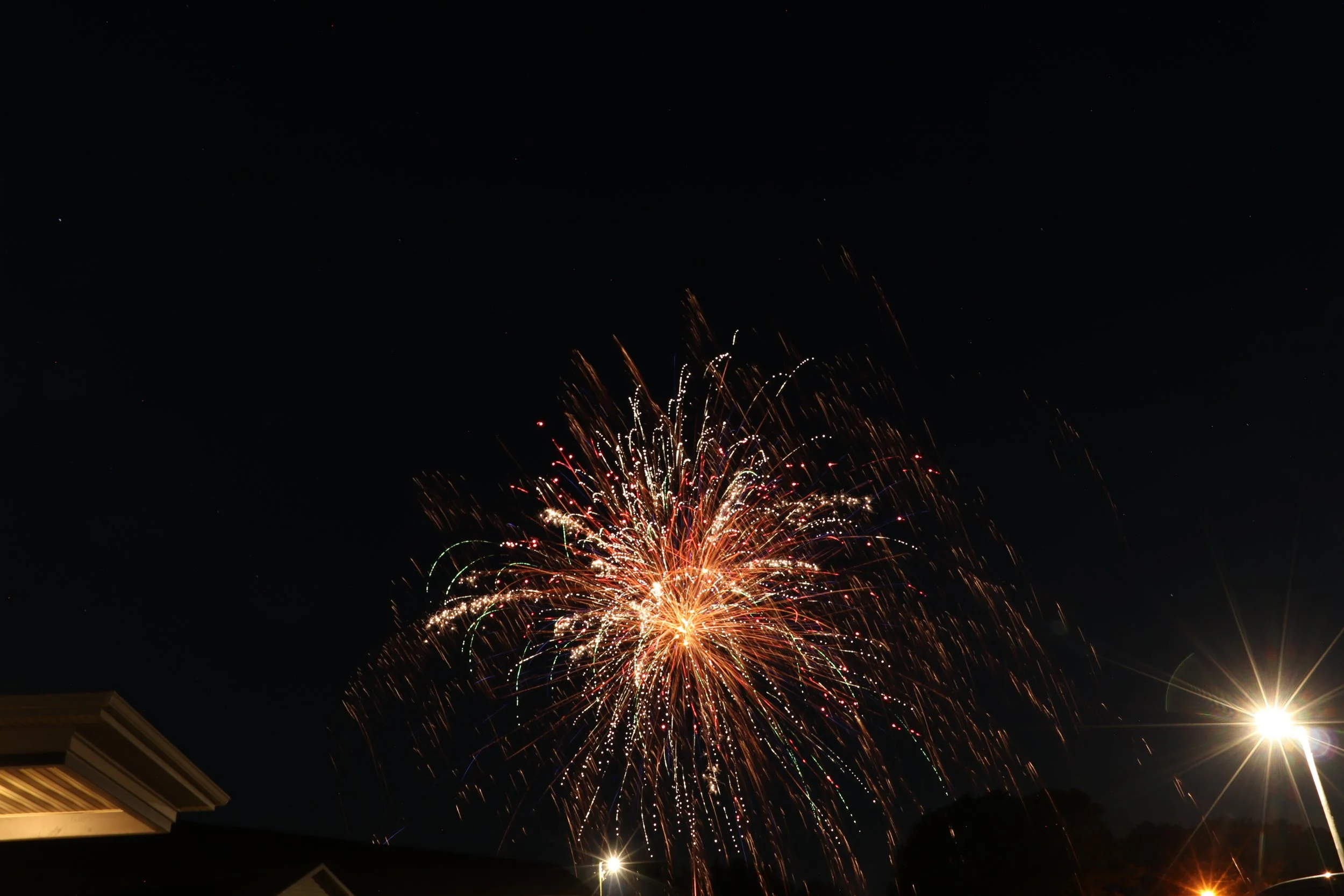 IMG_7545.JPG