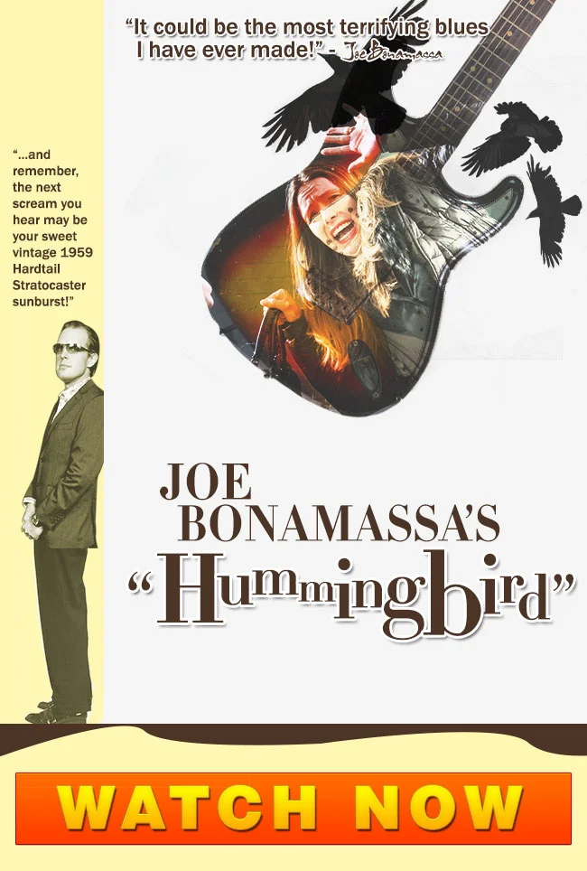 Sunday Eblast - Hummingbird