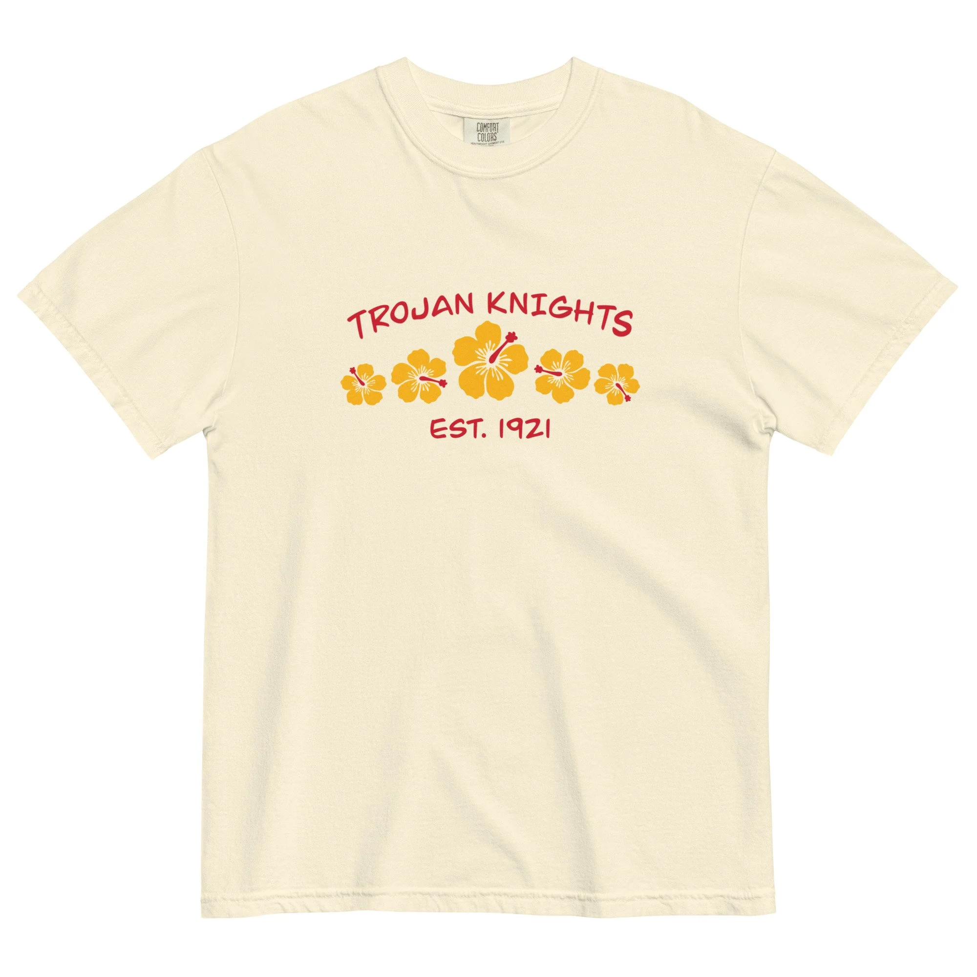 unisex-garment-dyed-heavyweight-t-shirt-ivory-front-67e442cdbba0e.jpg
