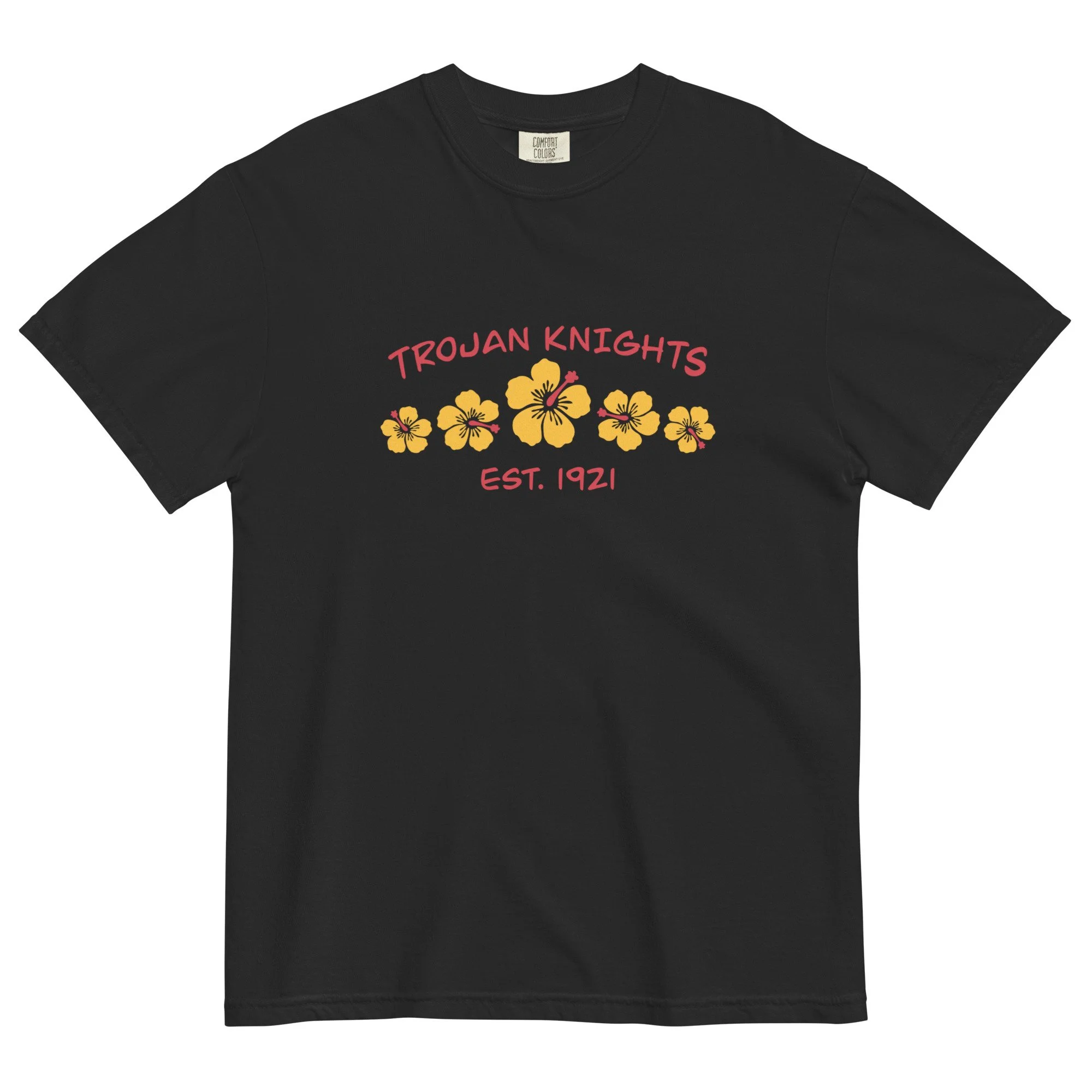 unisex-garment-dyed-heavyweight-t-shirt-black-front-67e442cdbe15b.jpg