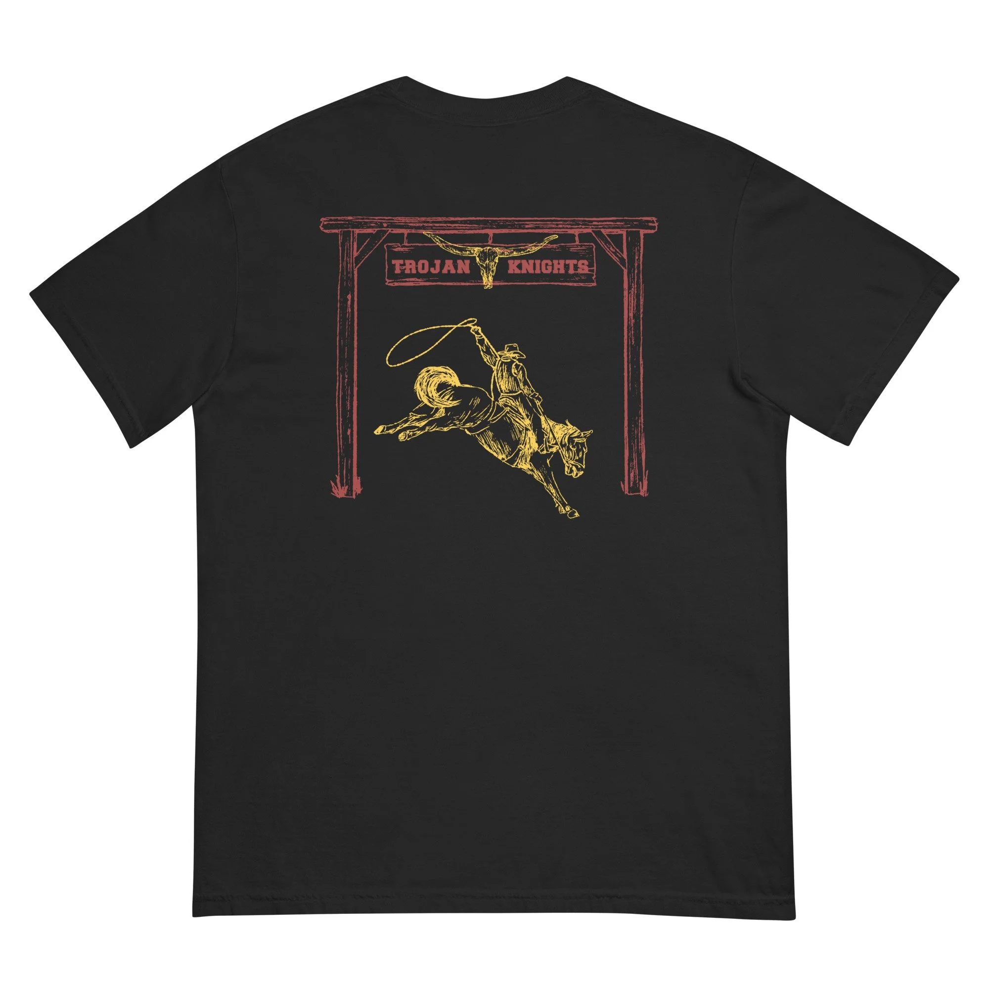 unisex-garment-dyed-heavyweight-t-shirt-black-back-69e866f100fdd.jpg