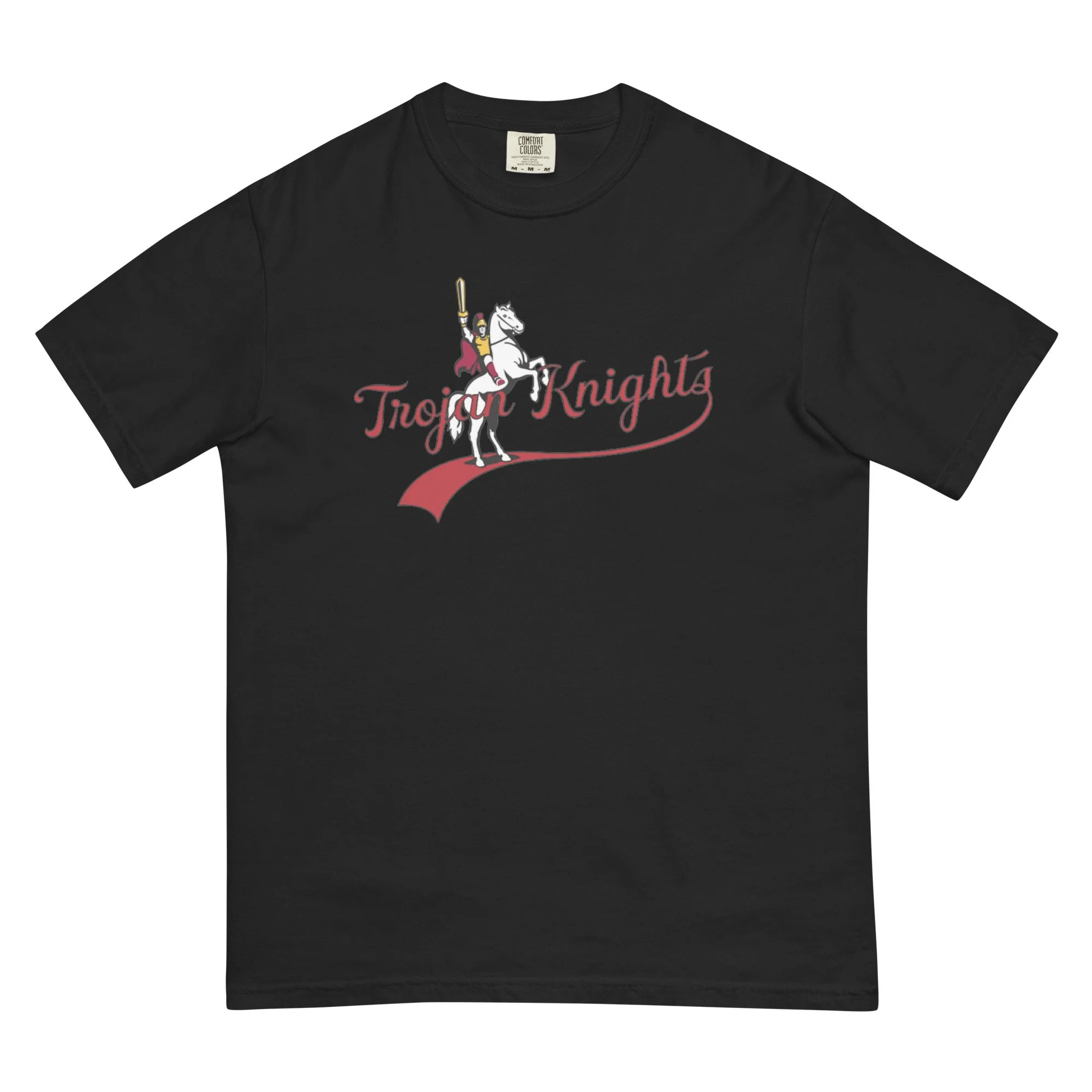 unisex-garment-dyed-heavyweight-t-shirt-black-front-69e869292ff9e.jpg