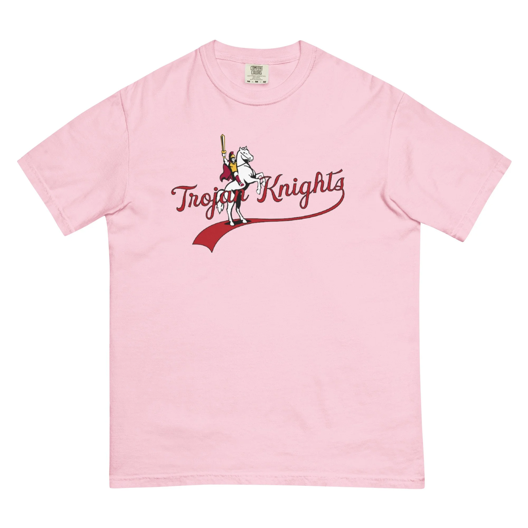 unisex-garment-dyed-heavyweight-t-shirt-blossom-front-69e869293470b.jpg