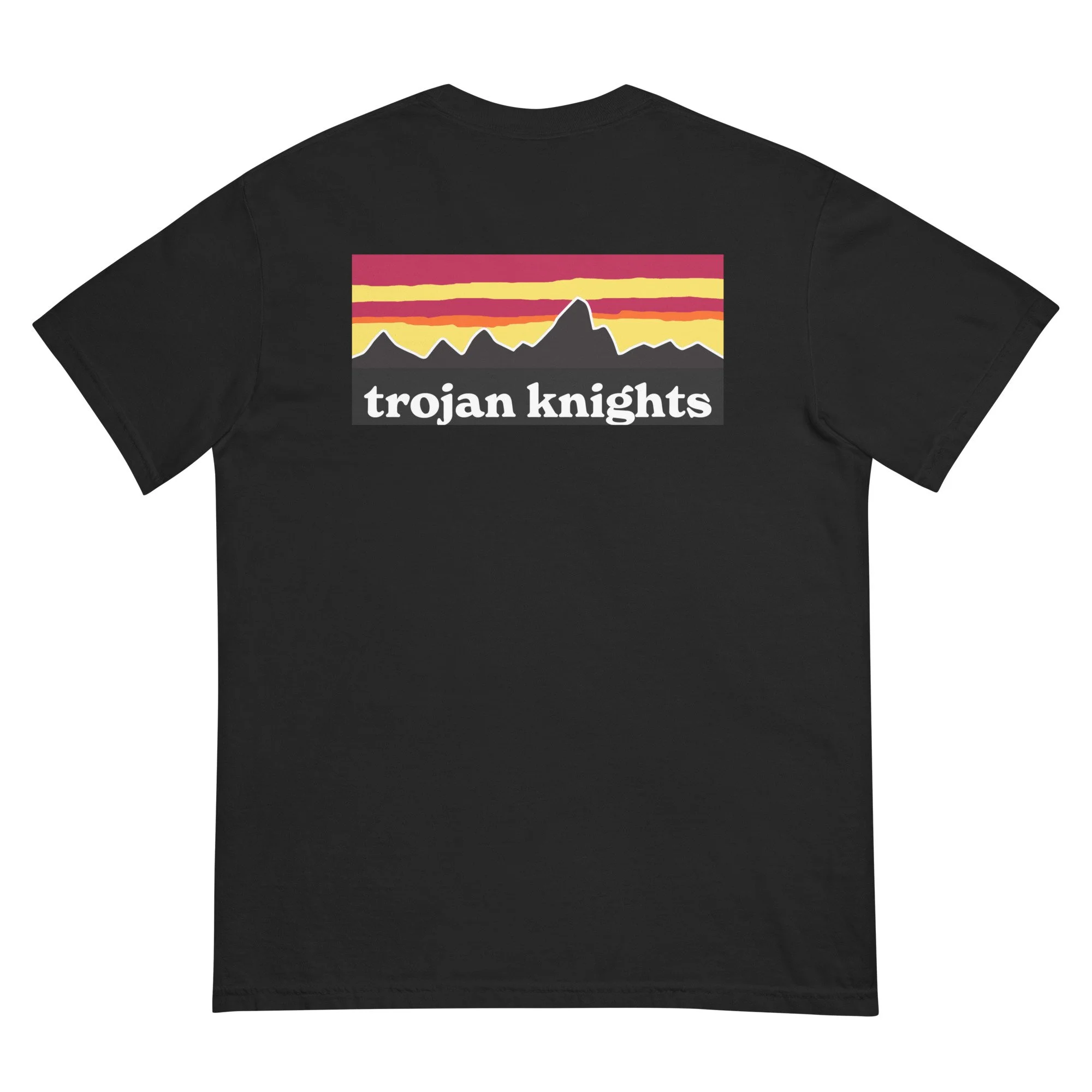 unisex-garment-dyed-heavyweight-t-shirt-black-back-69e869709672f.jpg
