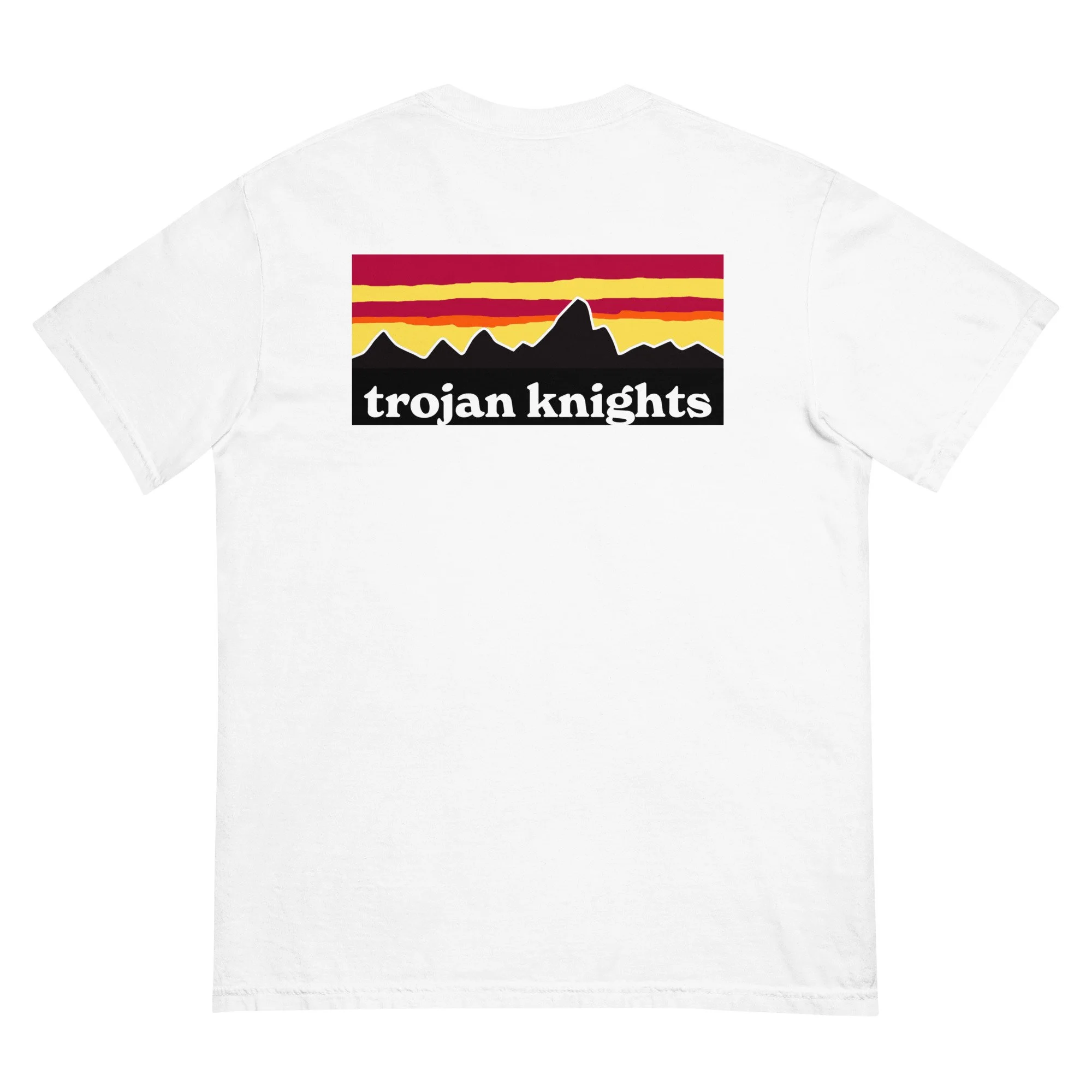 unisex-garment-dyed-heavyweight-t-shirt-white-back-69e8697099130.jpg