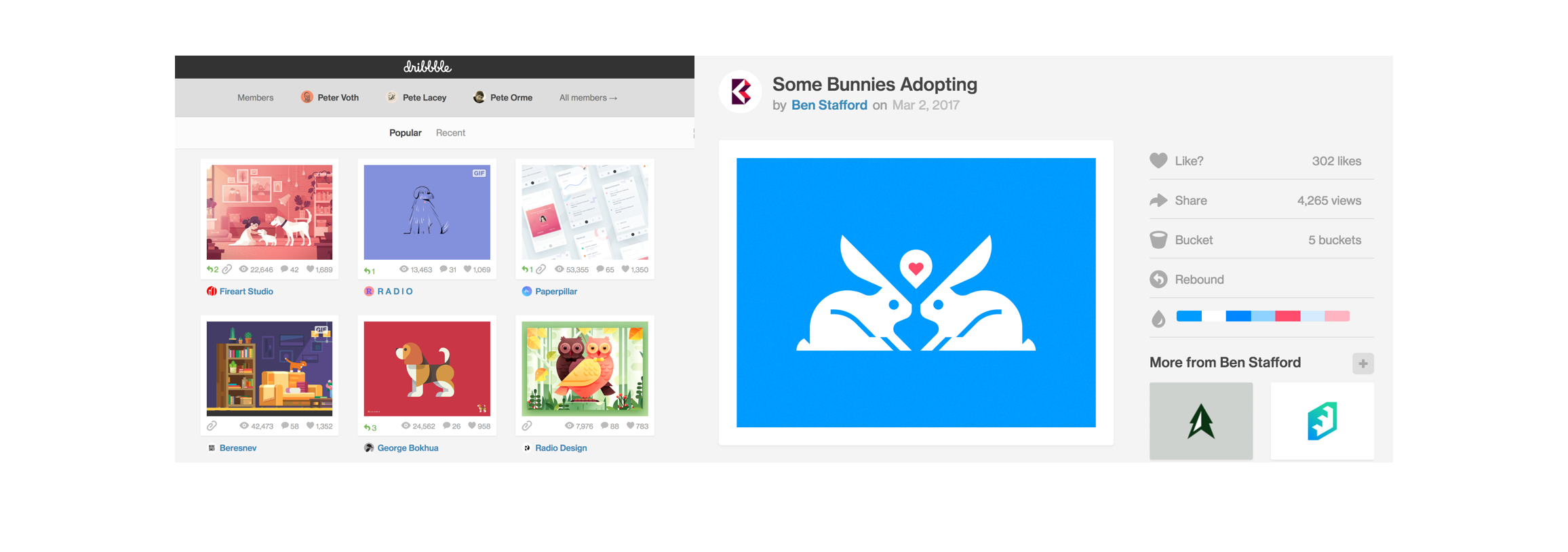 Dribbble Search Findings