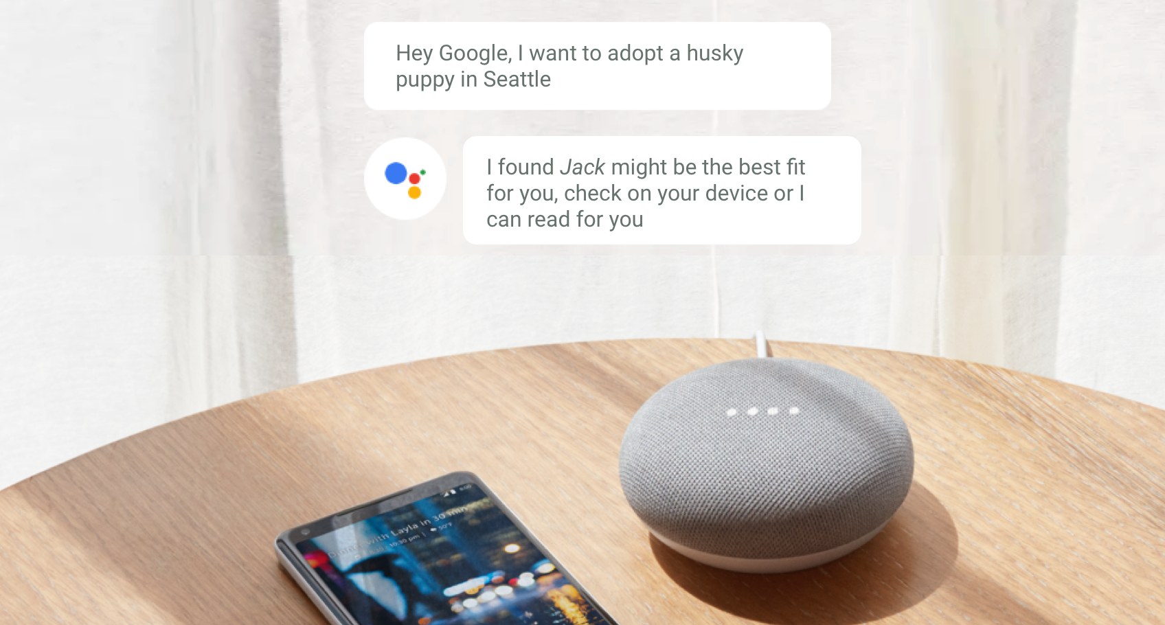 Google Home + Home Pet Ideas