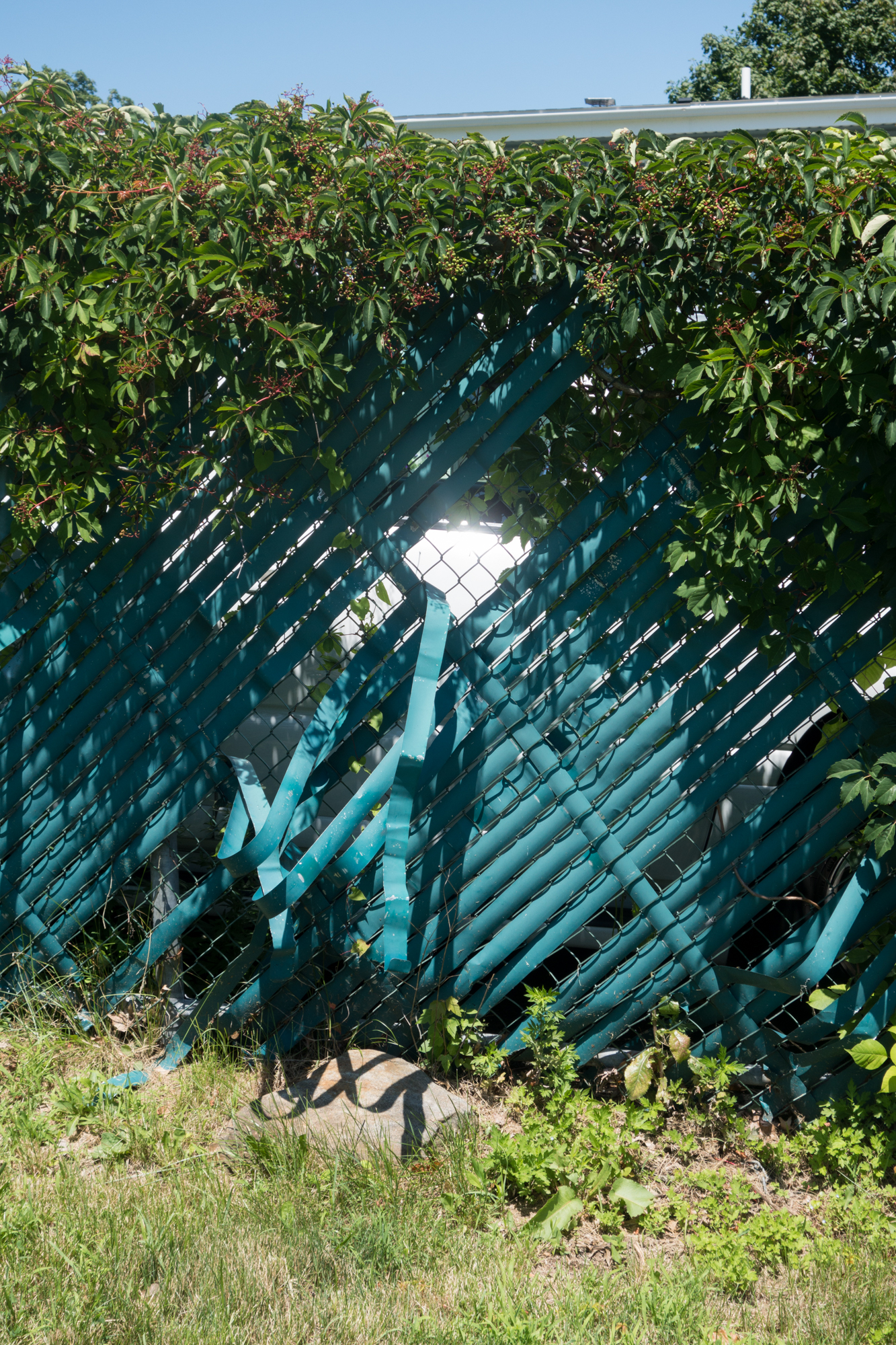 JeffDietz_Terrain_018.jpg
