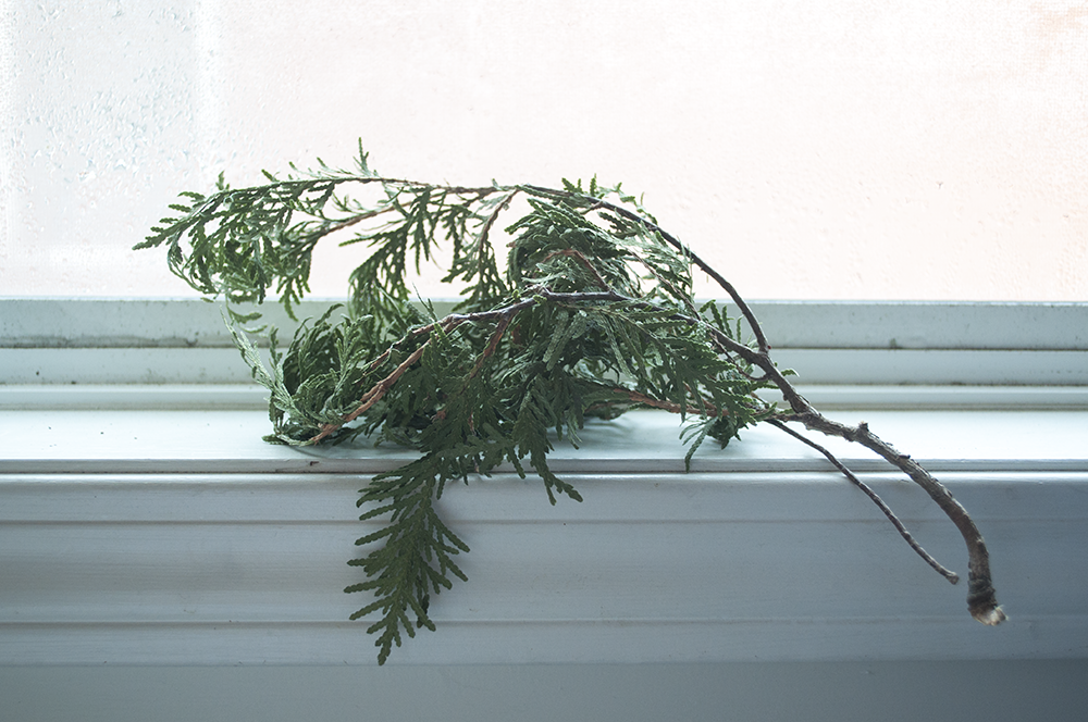 Foraging is an easy way to bring home some greenery in your space. As a kid, I'm always looking down the floor when I walk. I don't do it as much, but things like these, it makes me happy.