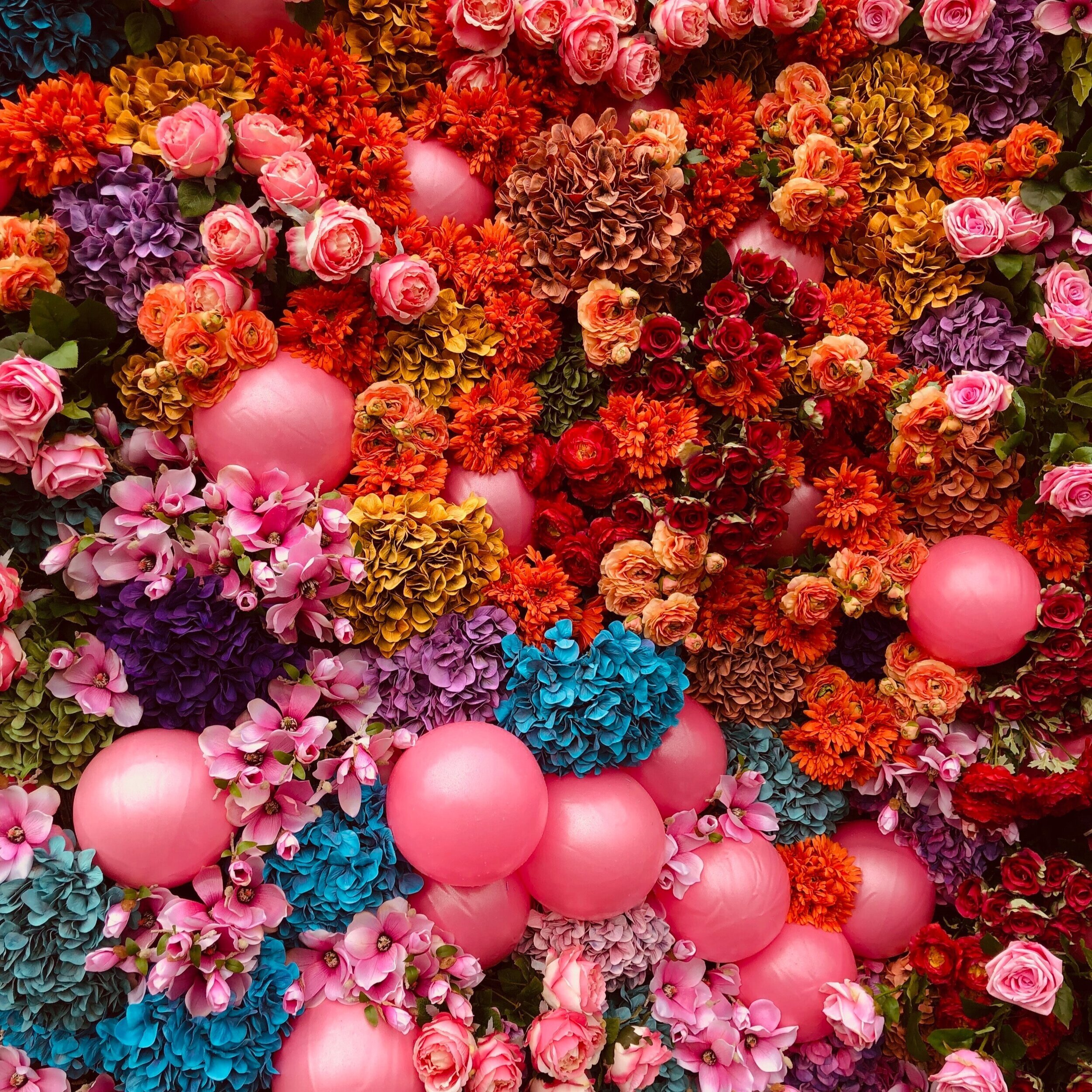 Gatherings of Abundance