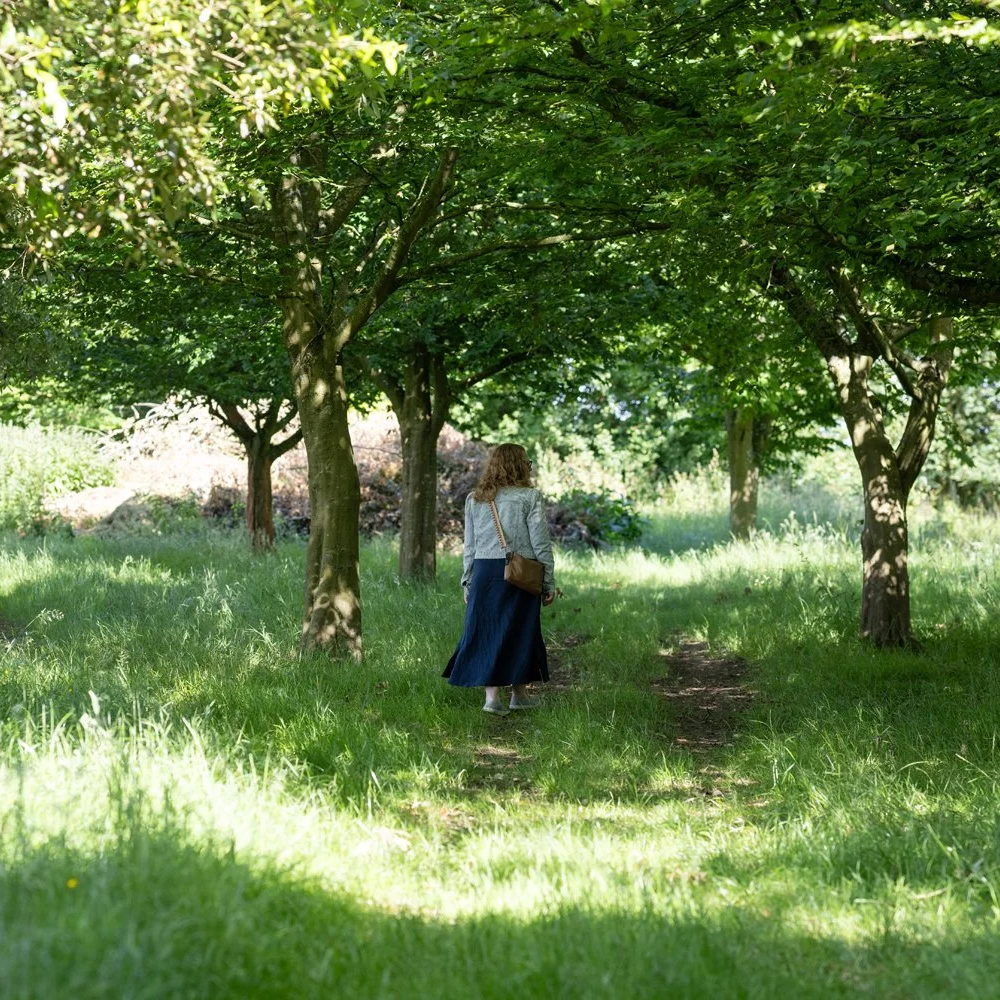 Walk &amp; Talk: Sensory Re-Awakening