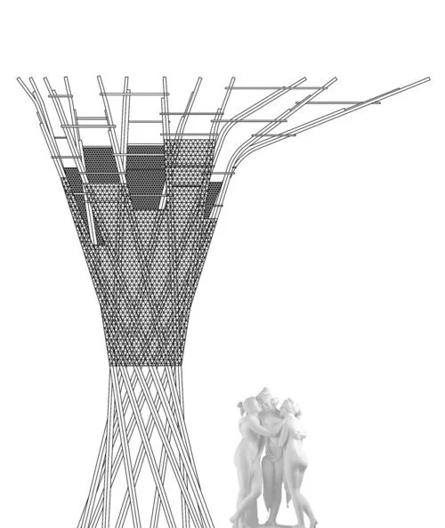 CTY-Studio-Heliotrope.jpg