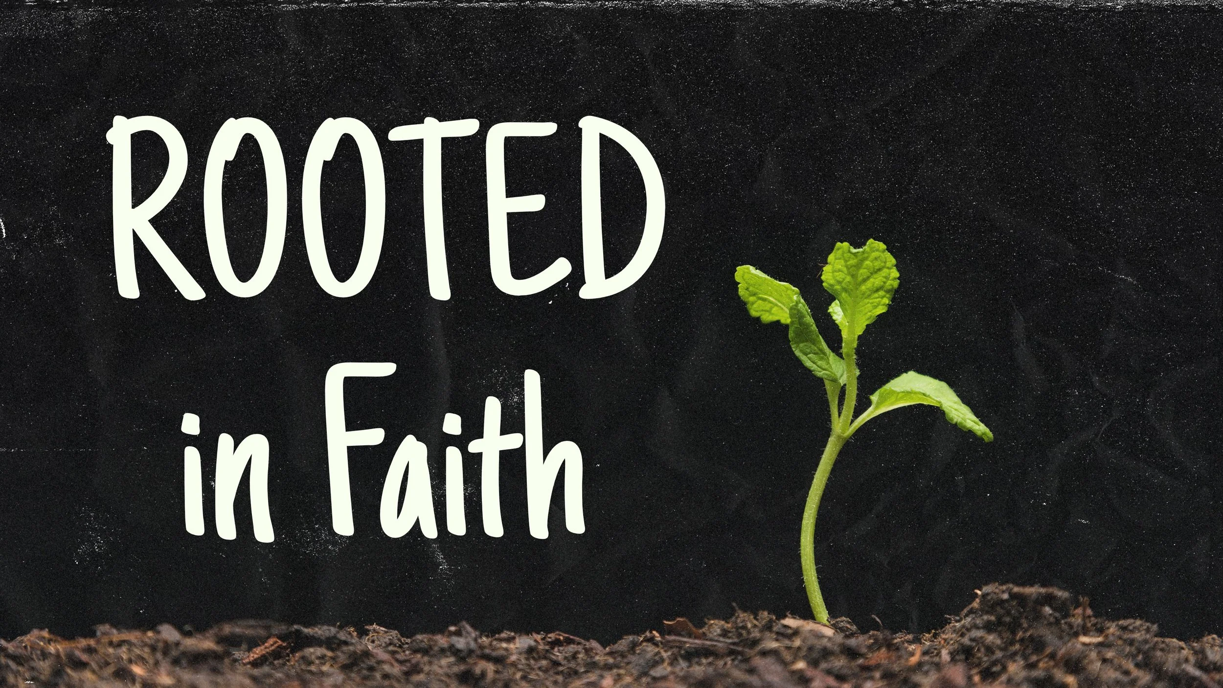 "Rooted in Faith"