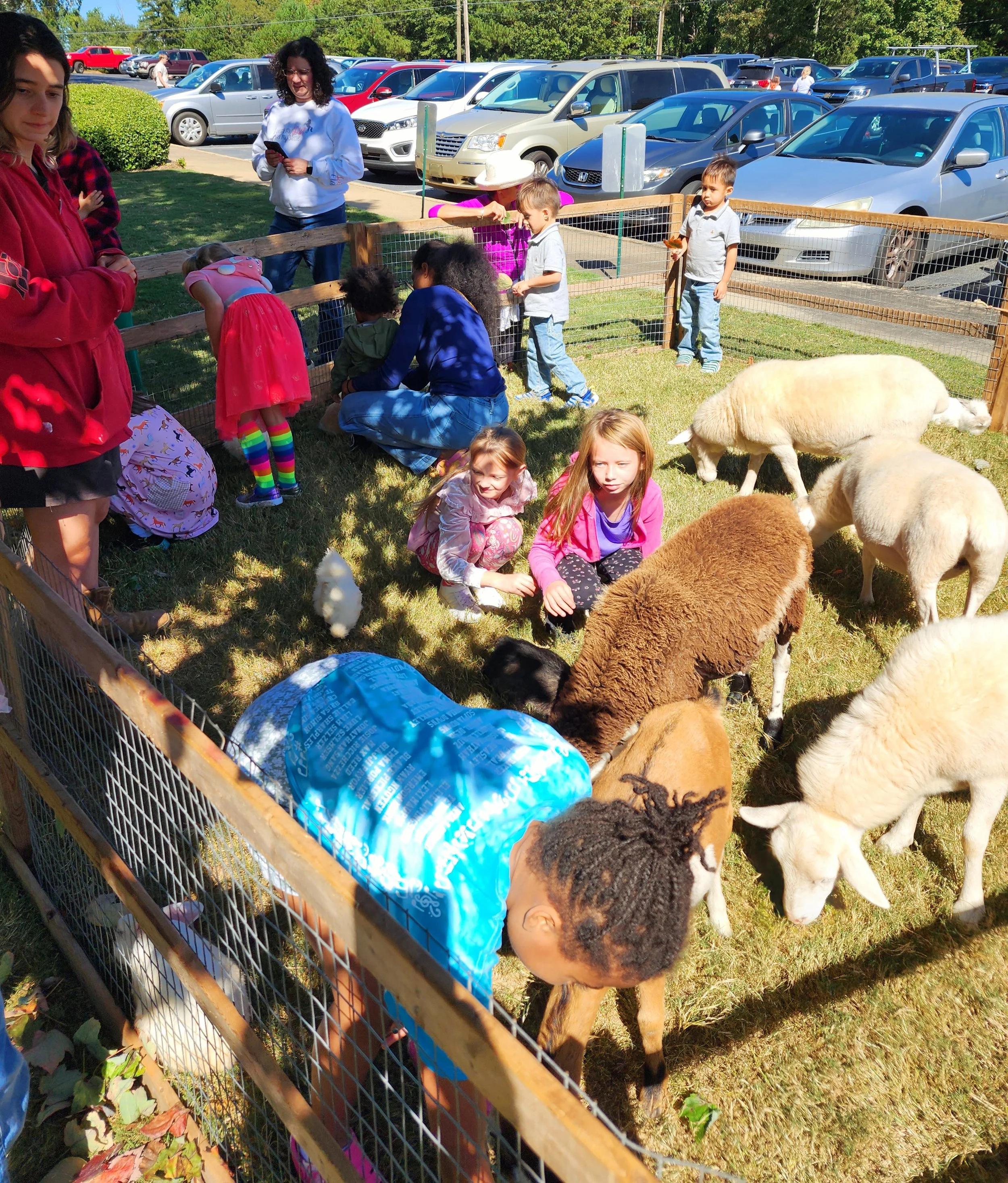 FF Petting Zoo 2.jpg