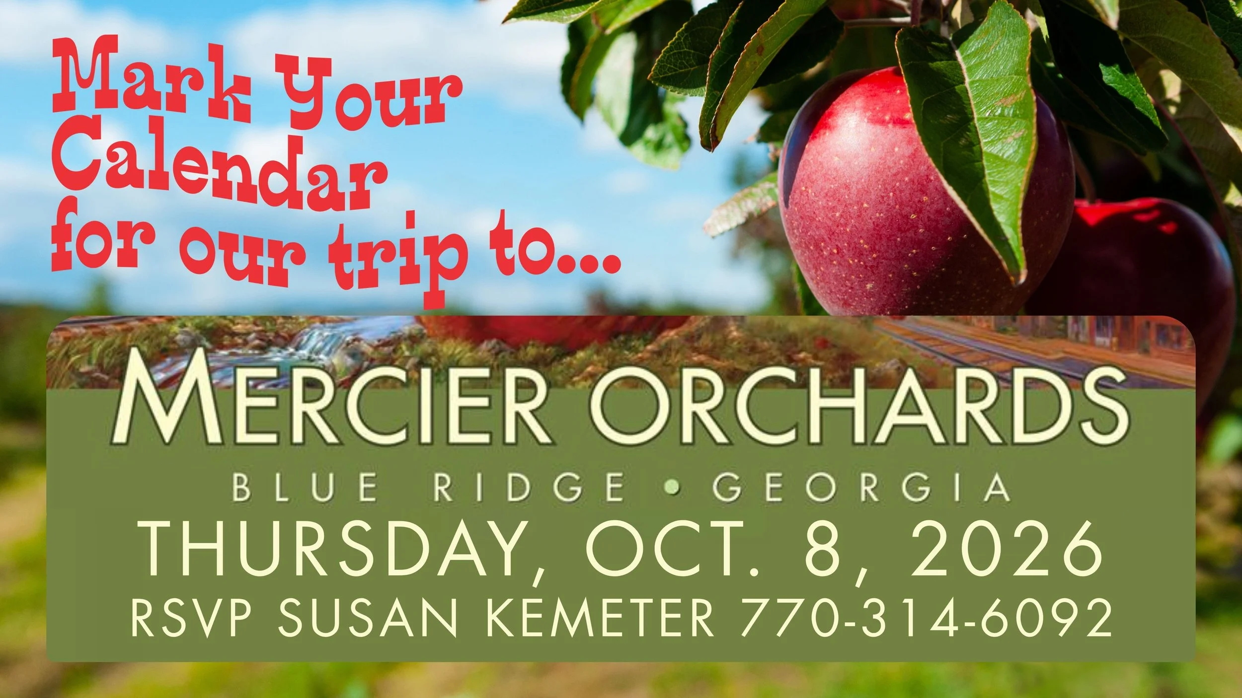 Apple Orchard Outing