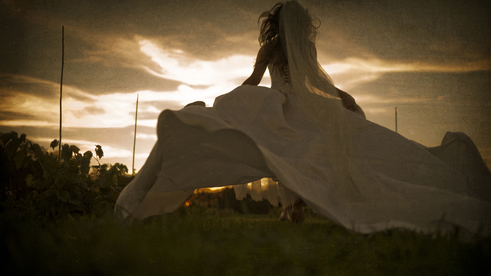 wedding_Photographer_Beloit_peer_canvas_bride_vines_dc_Estate.jpg