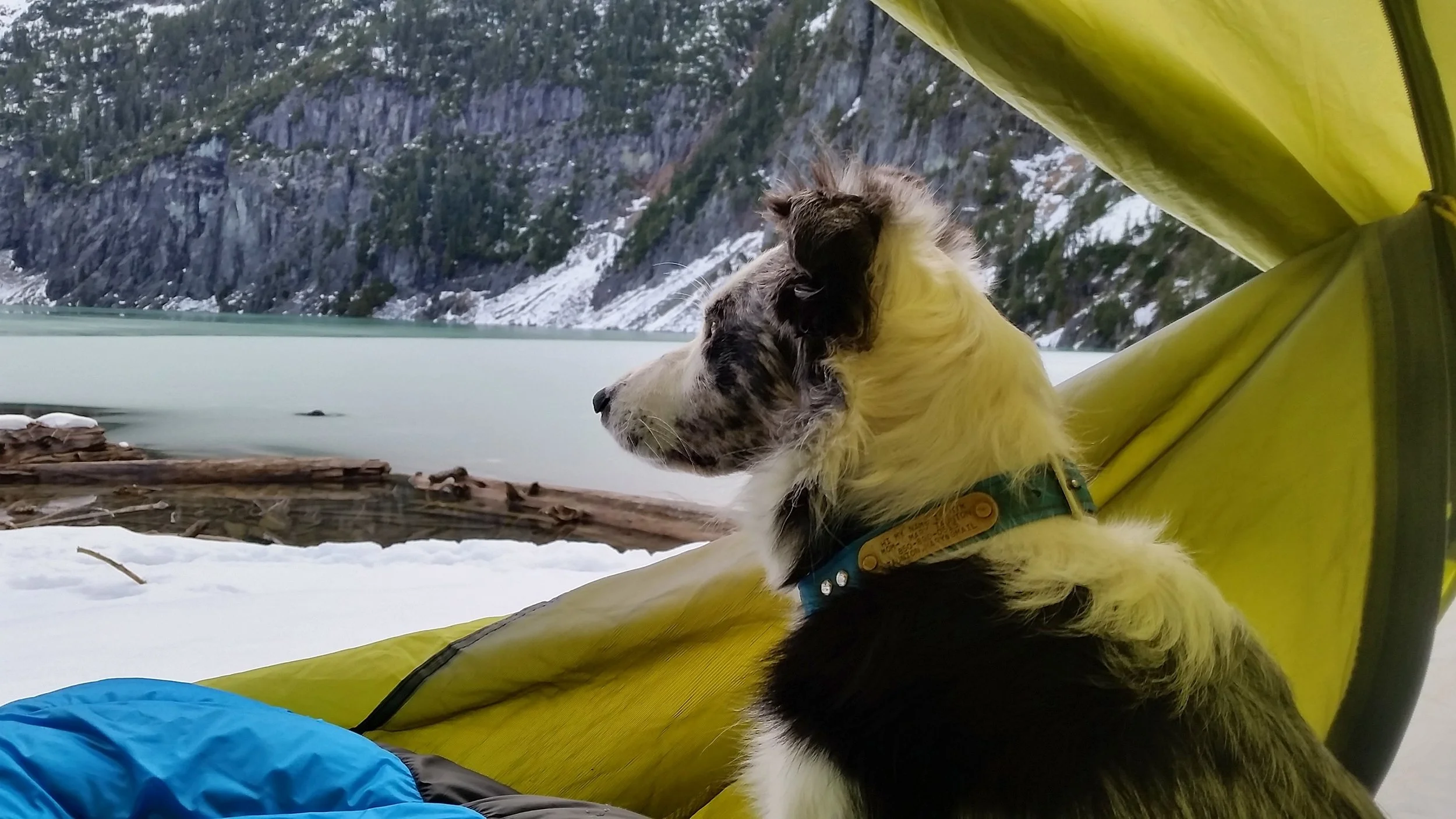 Nym at Blanca Lake