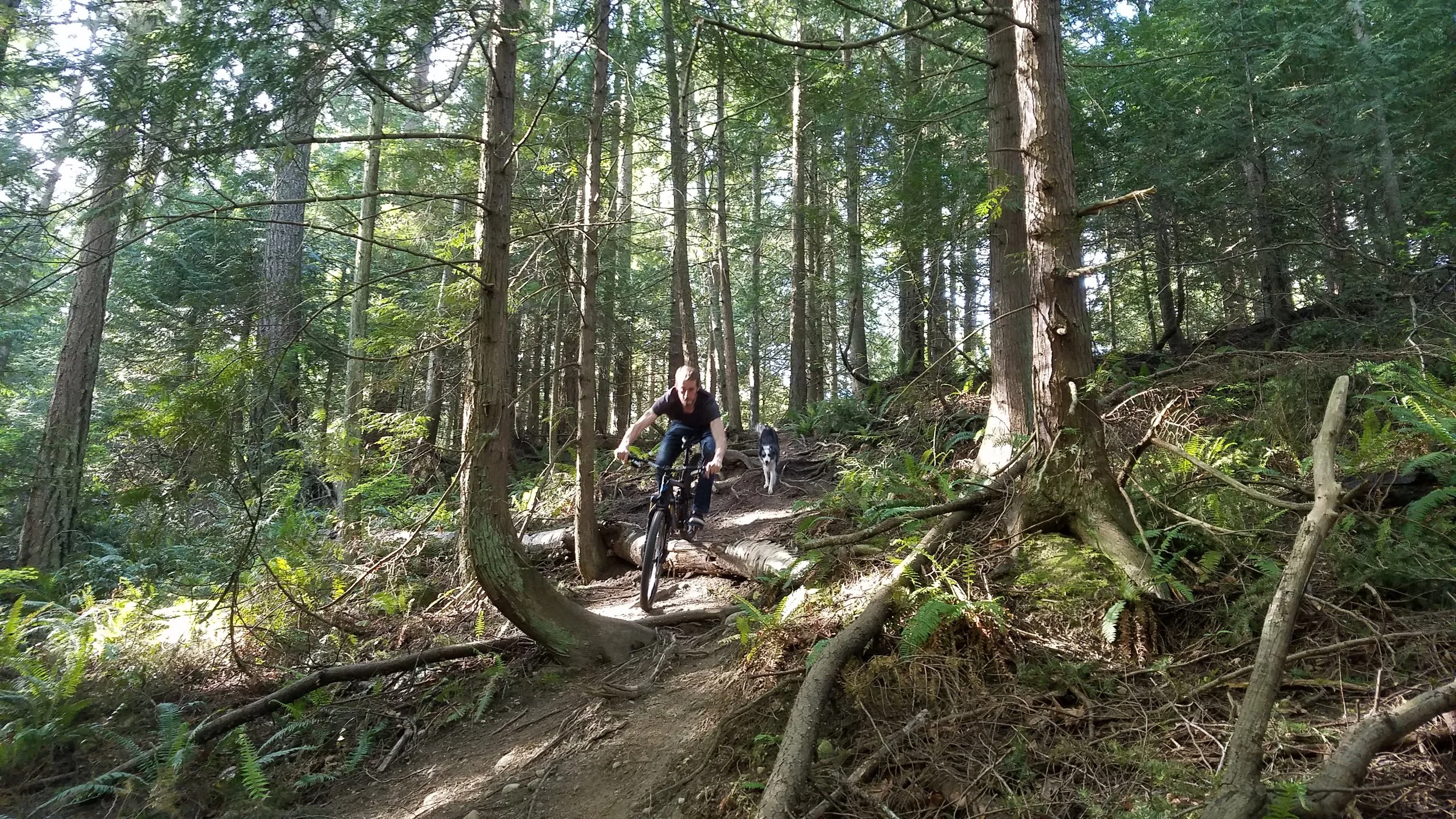 20160417_1652360.jpg
