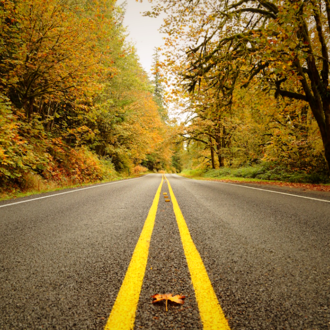 fall-road.png