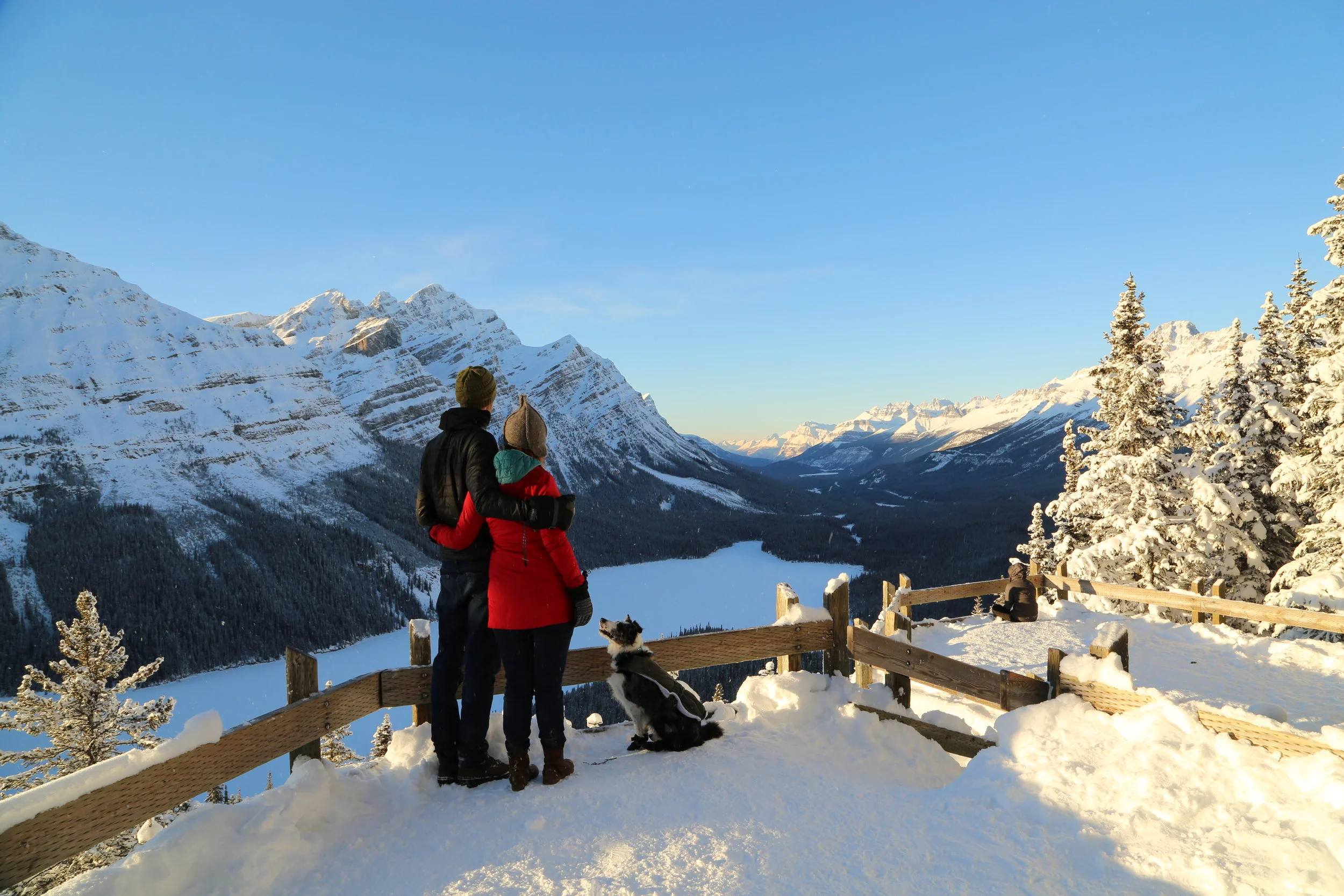 Peyto Lake
