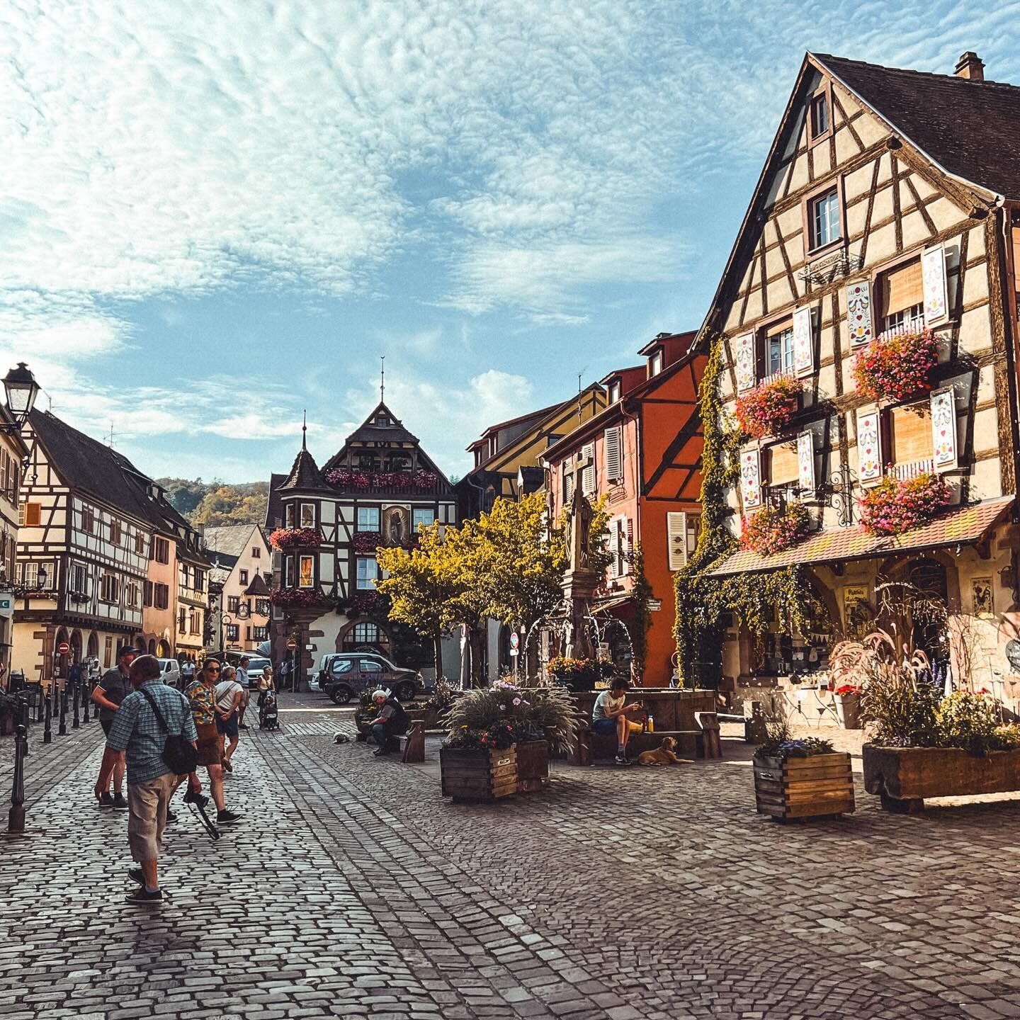 New on my blog: Must-See Villages in Alsace, France. Click the link in my bio to find out which ones made my list. I&rsquo;ve also included budget details and two bonus cities that you should add on to your trip. Many people visit Paris and are disap