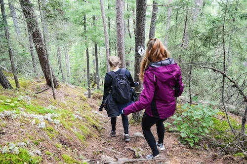 White Bear Forest Hike2.jpg
