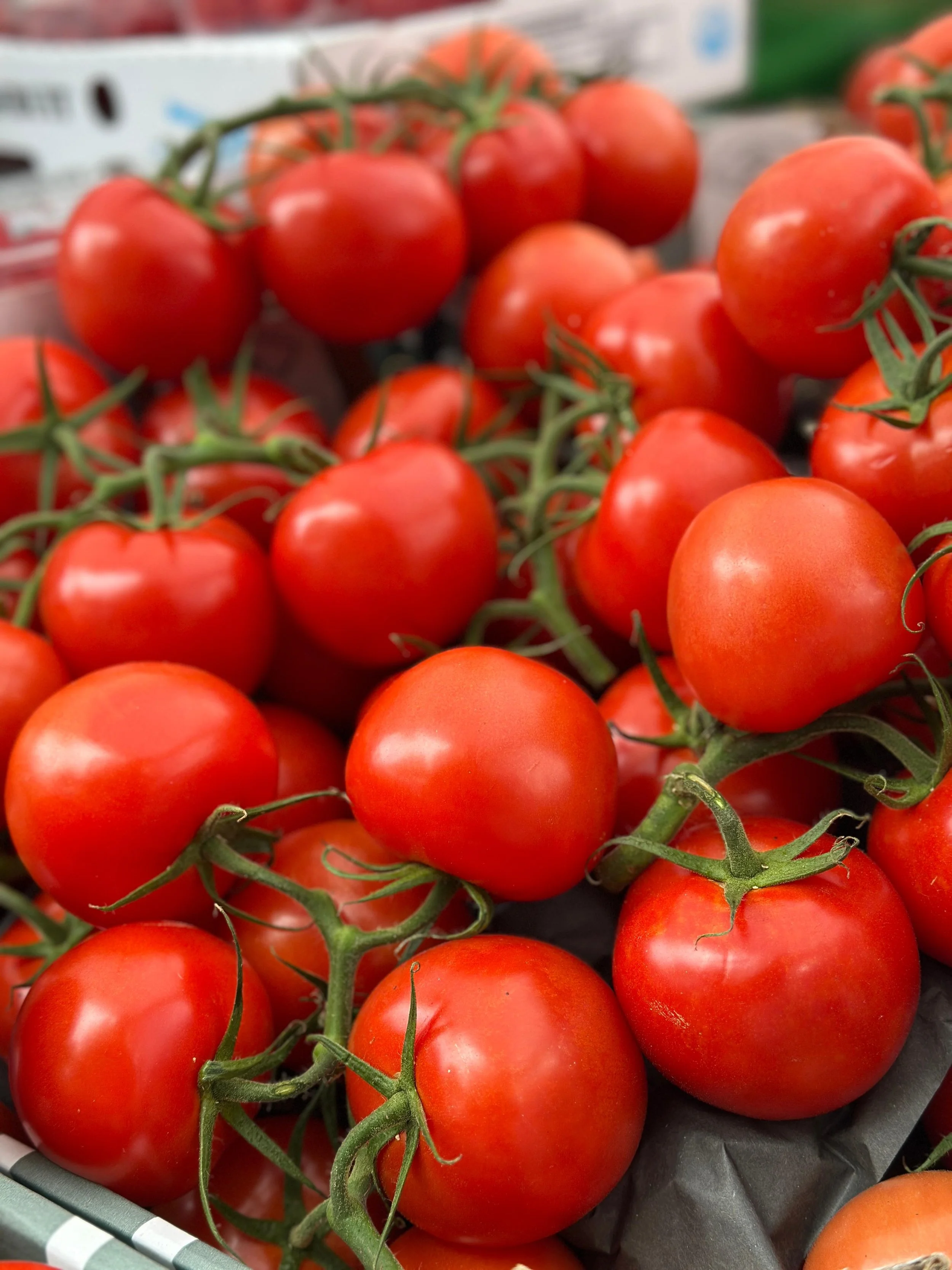 WhatsApp Image 2025-08-07 at 09.57.52.jpeg