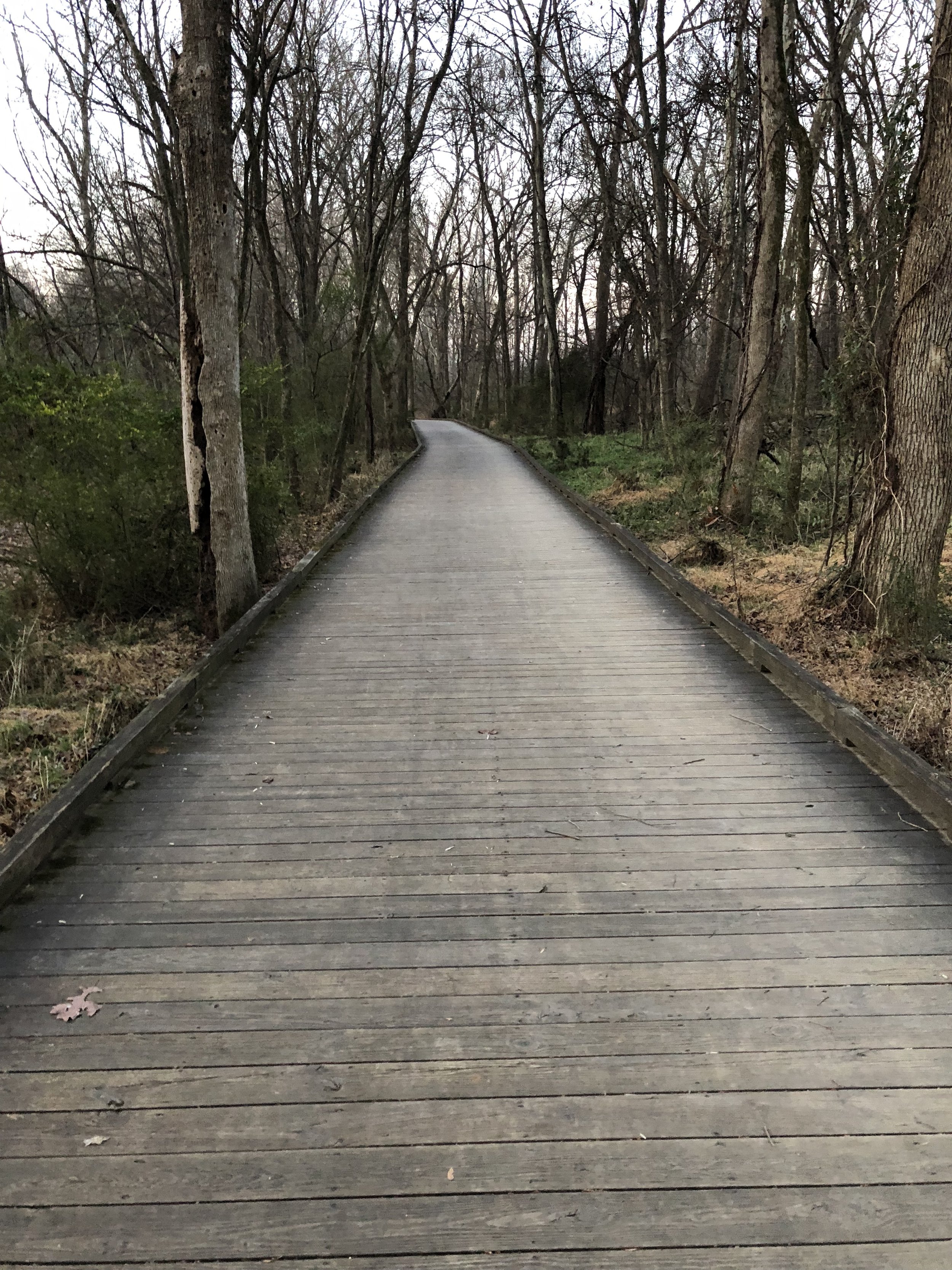 Priorities, limits and costs.  And an incrementalism update 