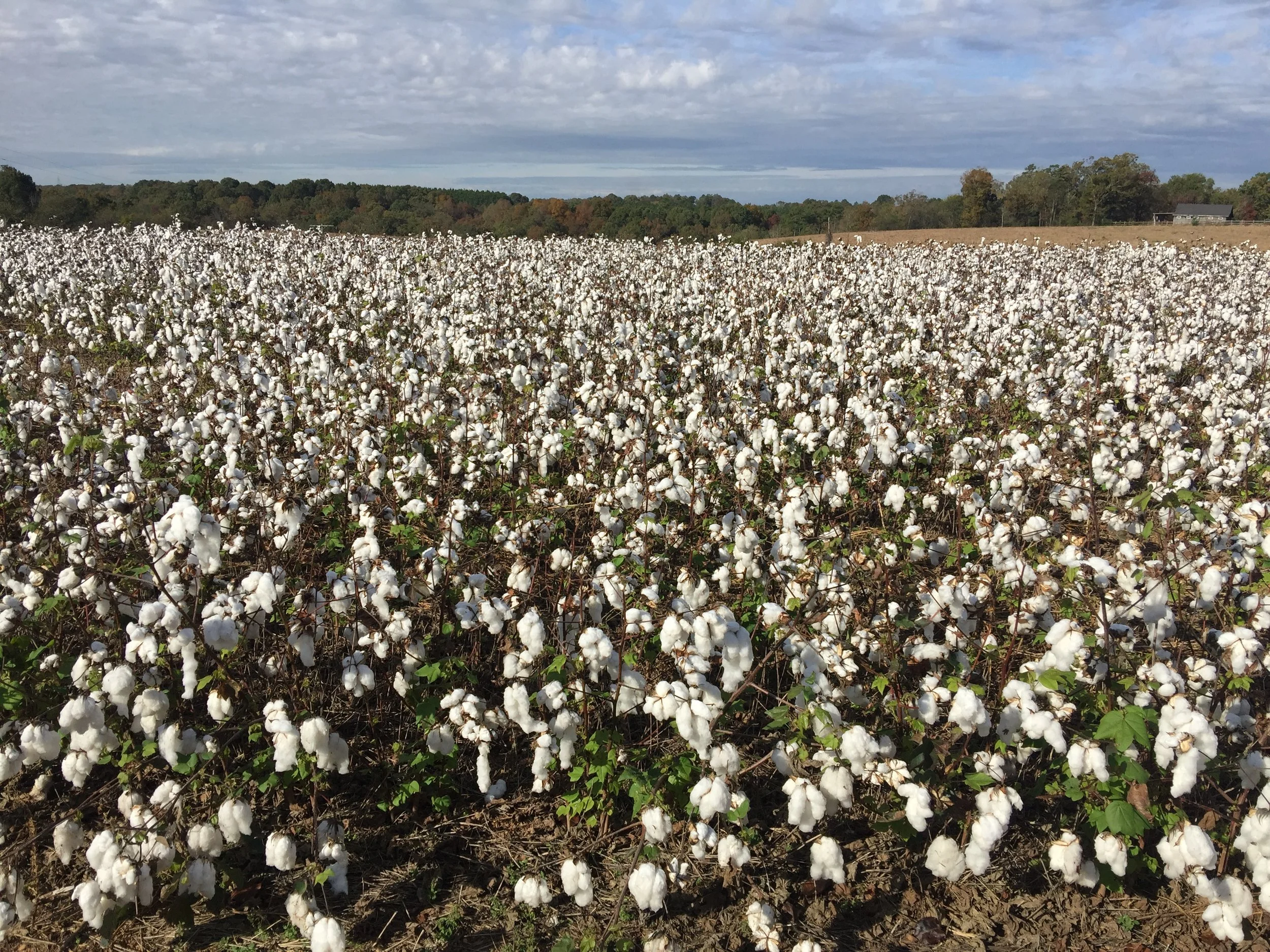 Positive Thinking and Fitness (Post 1 of 5)