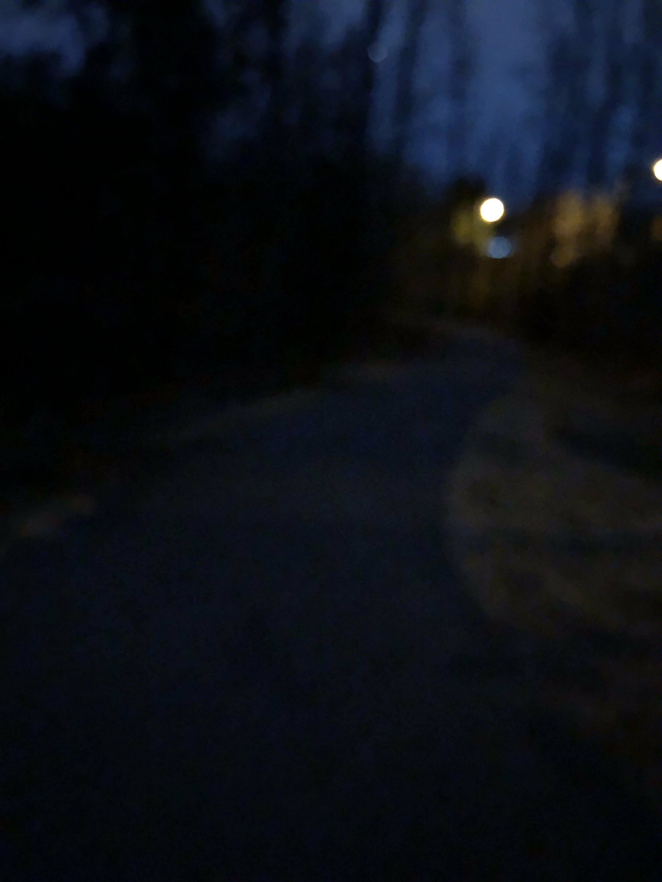 Positive Thinking Post 5 of 5 -- Doing Your Best and Year-End Recap