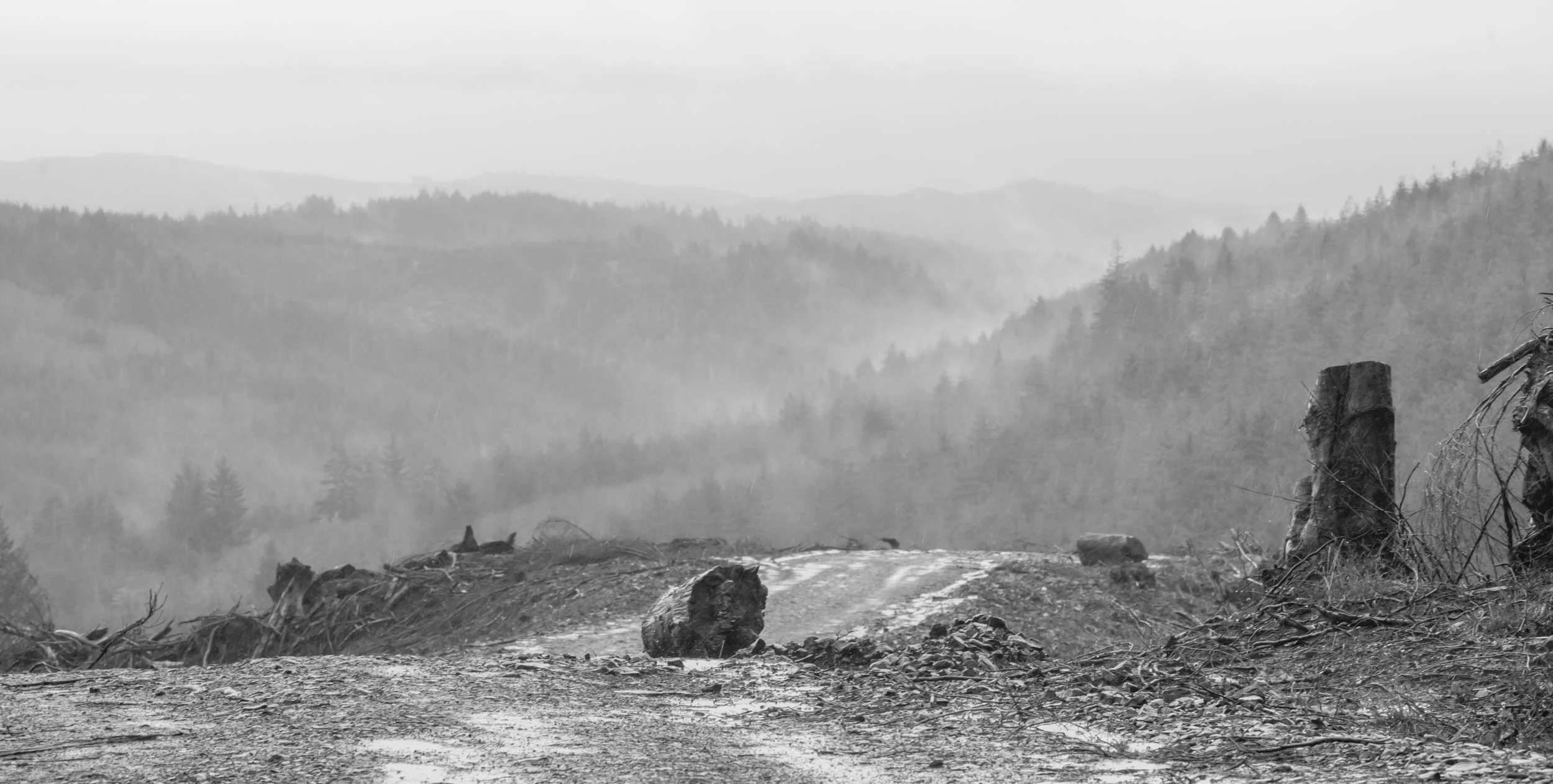 The Long View