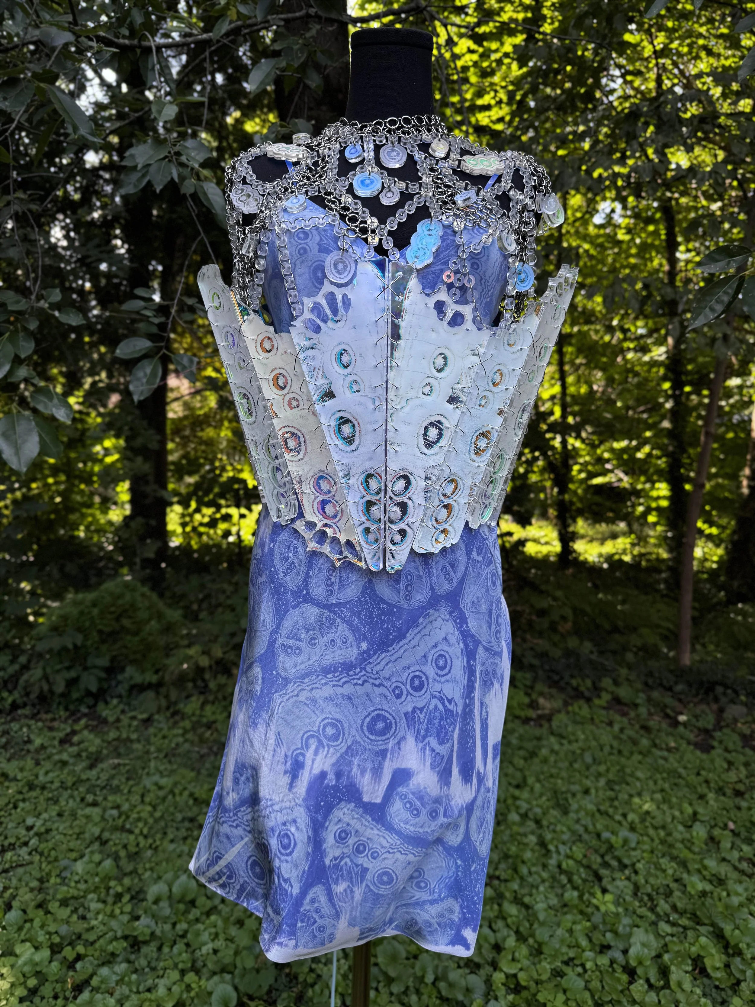 Clear-Eyed Butterflied Corset and Epaulette Set