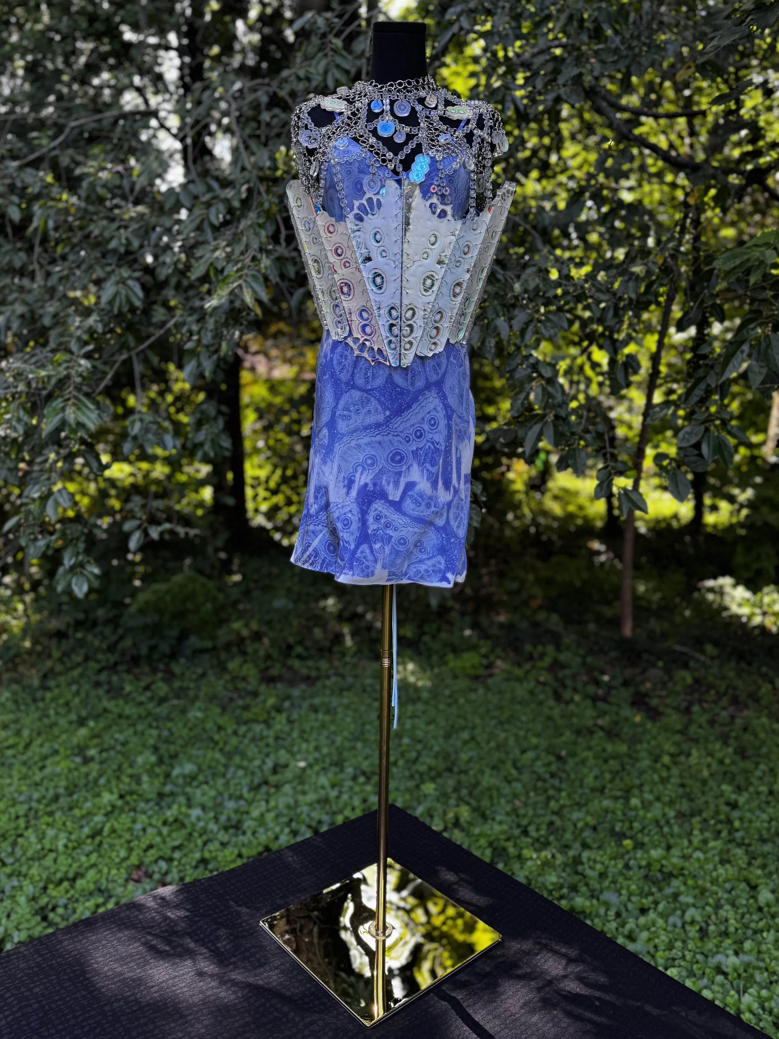 VolwilerStanley_Amelia_3detail1 (1).jpg