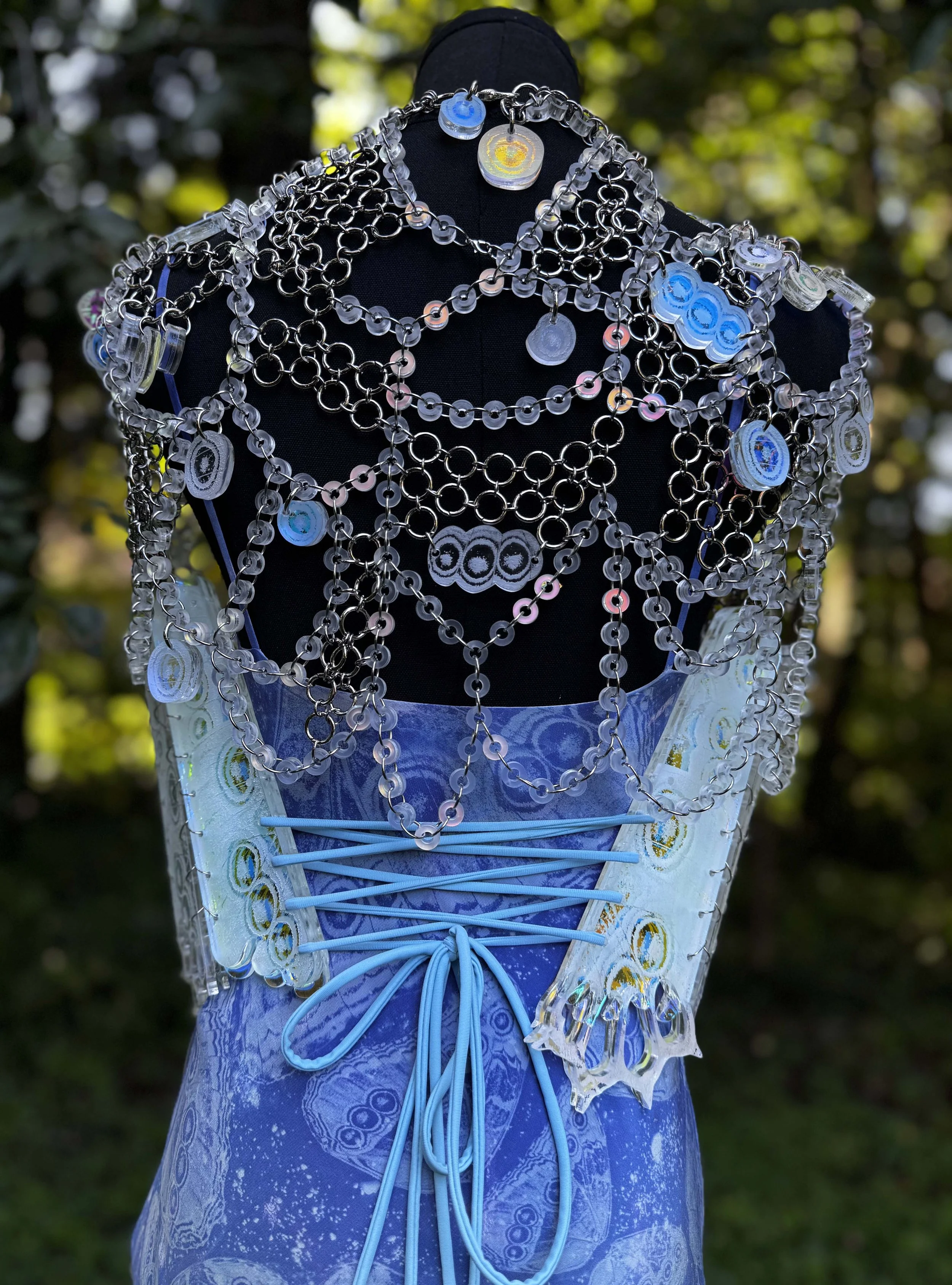VolwilerStanley_Amelia_3detail3.jpg
