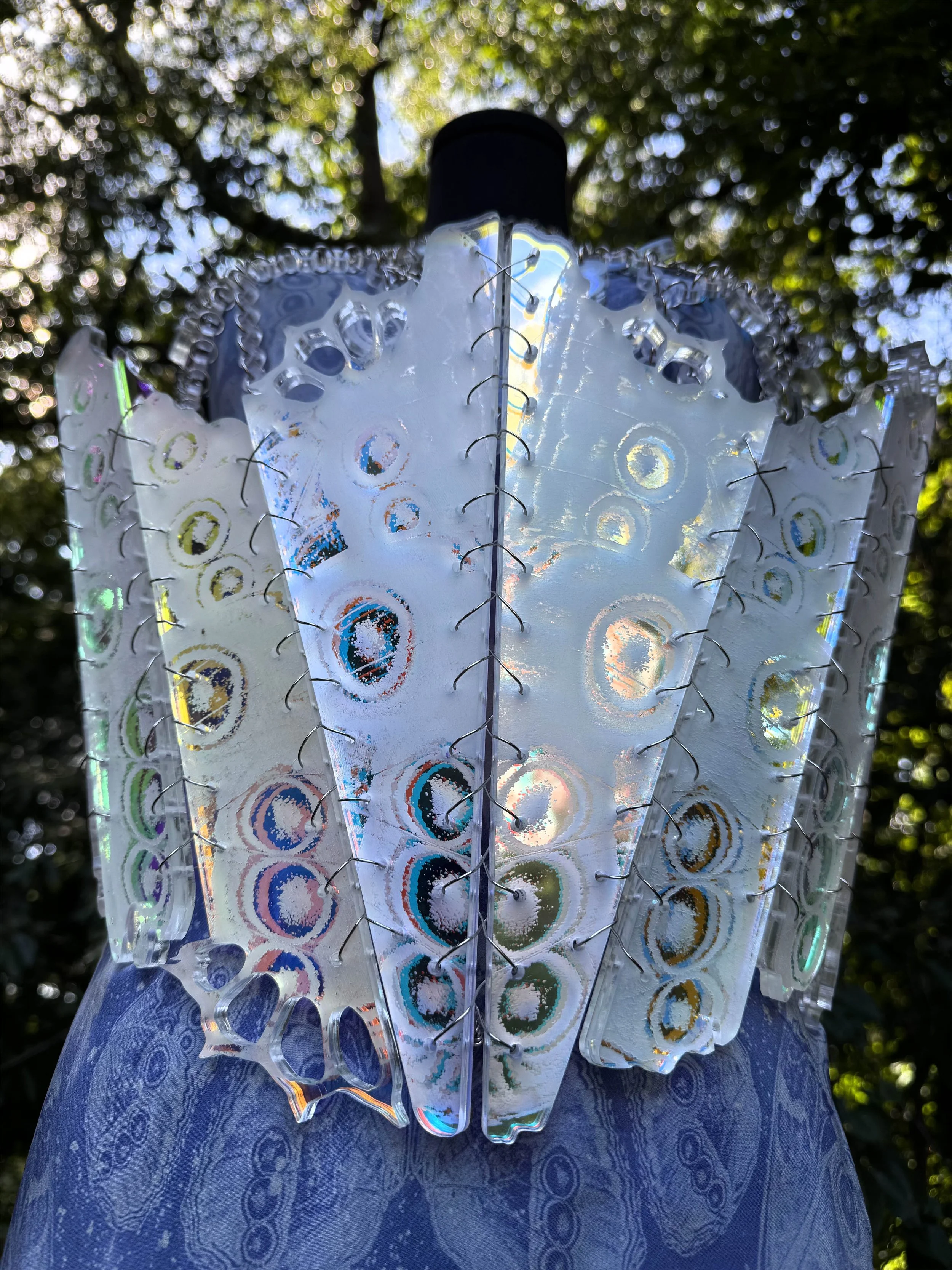 VolwilerStanley_Amelia_3detail2 (1).jpg