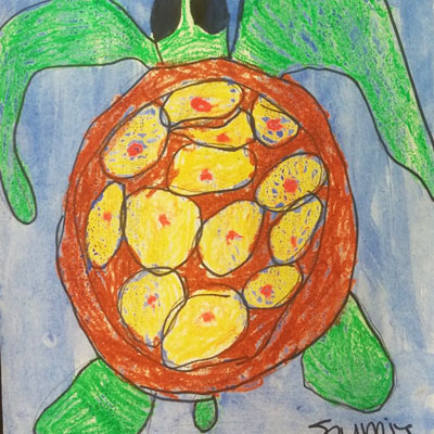 Sea Turtle, Journie Merriss, Grade: Kindergarten, Murray Elementery, Teacher Stoya Hastings