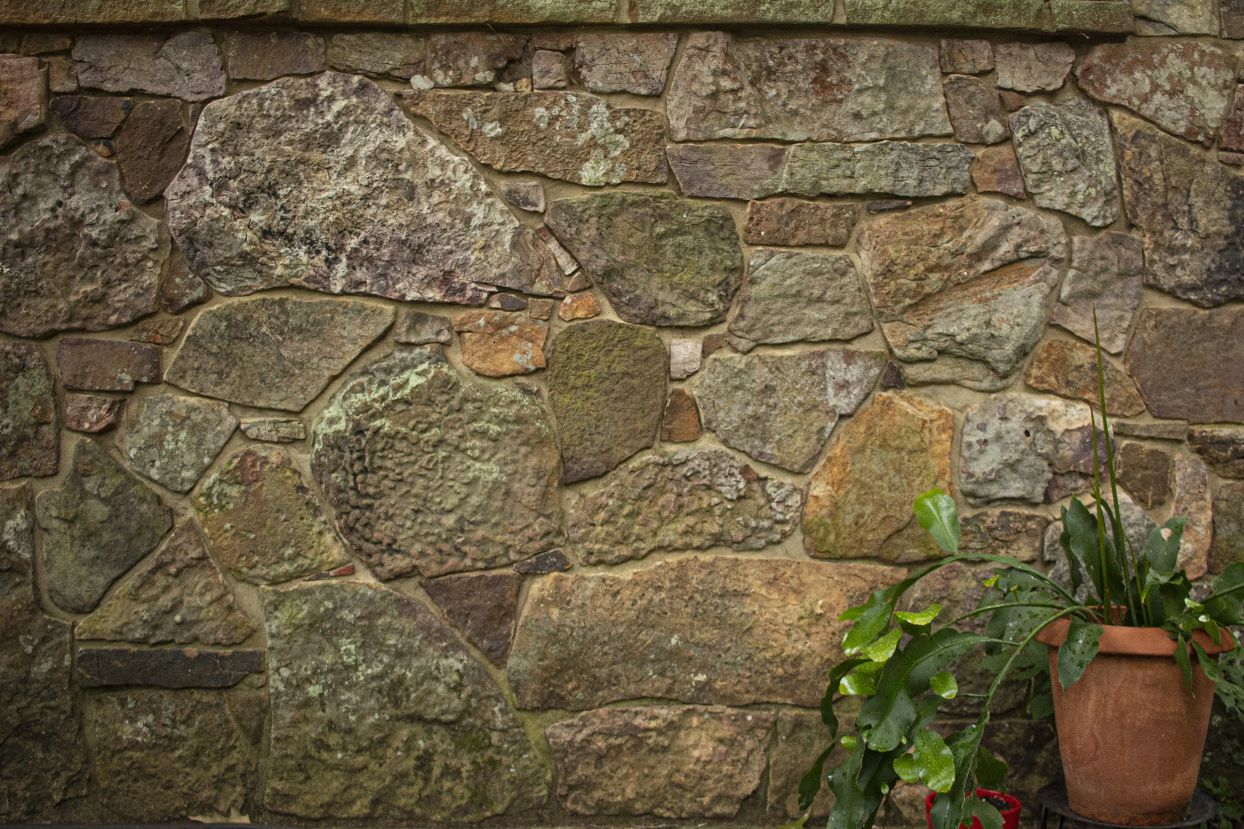 carport wall.jpg