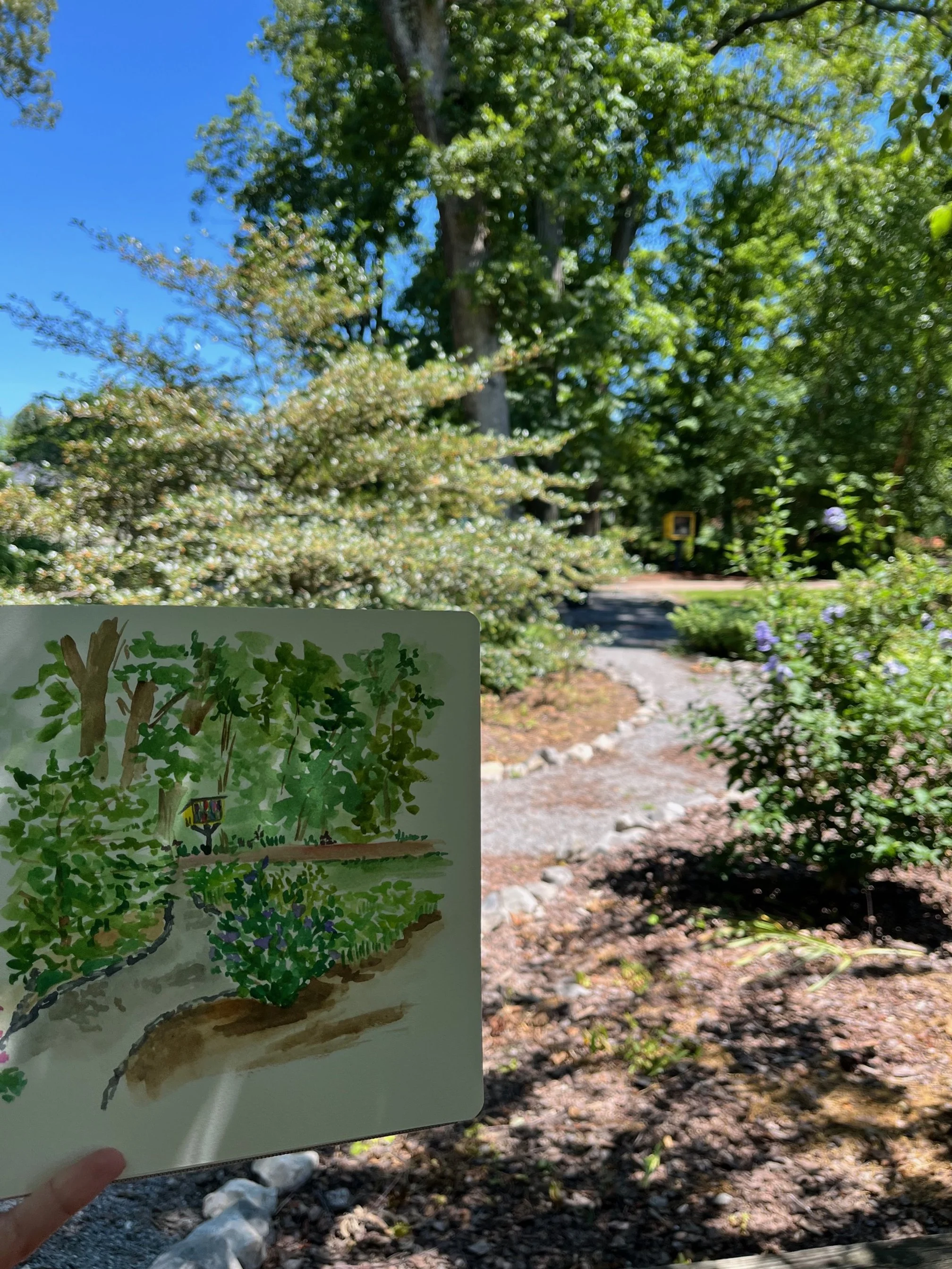 Plein Air Watercolor Landscape: MSU Arboretum
