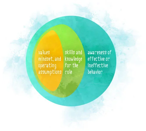 executive-coaching-infographic-nancy-winship.jpg