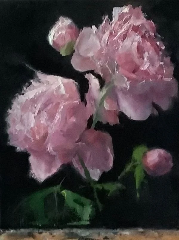 Pink Roses